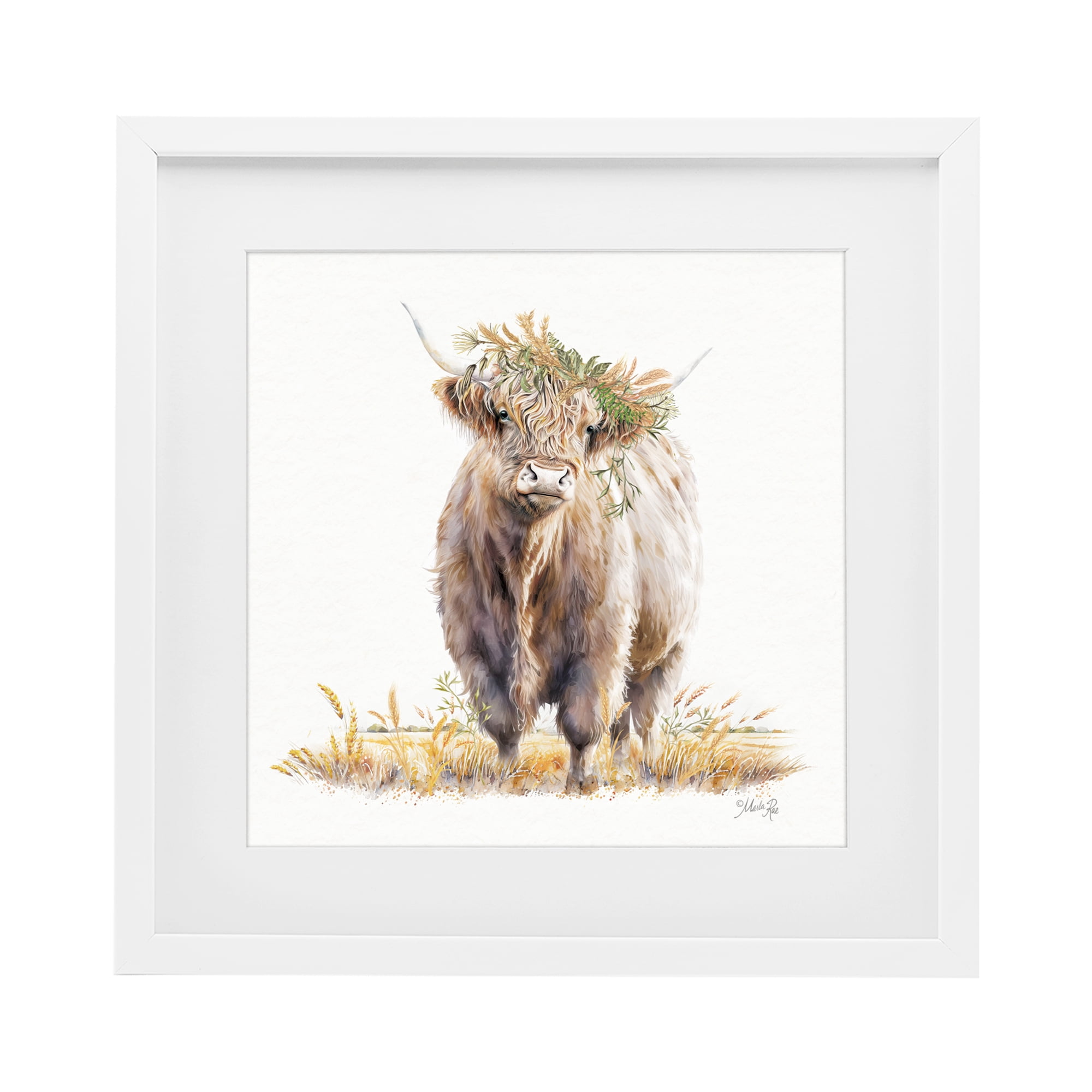 Stupell Industries Ollie the Highland Cattle White Framed Print Under Glass, design by Marla Rae