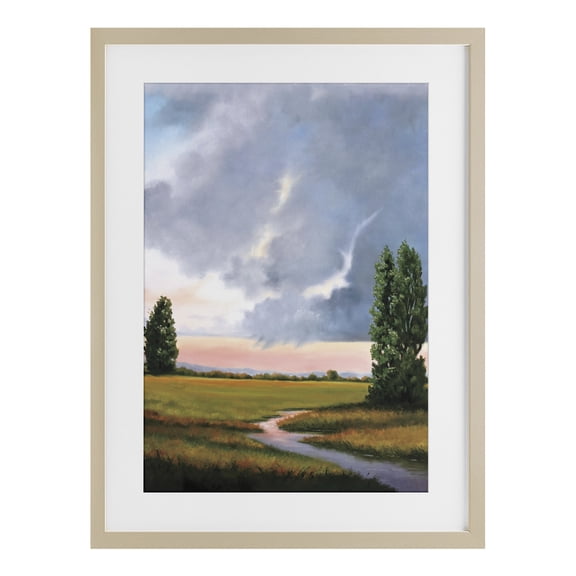 Stupell Industries Ominous Storm Cloud Scenery Birch Framed Print Under Glass design by Julie Peterson, 23 x 17
