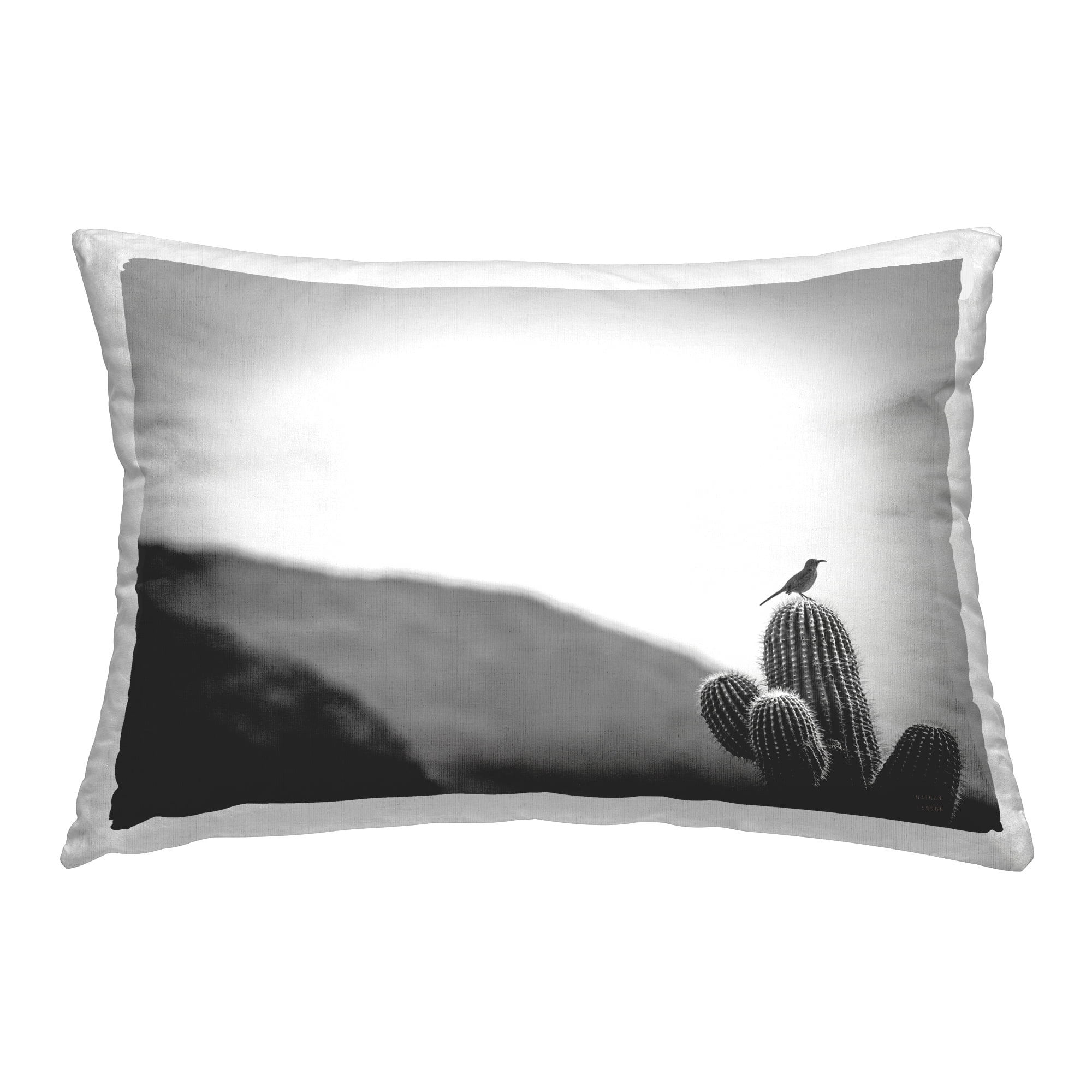 Stupell Industries On Guard Bird & Cactus Decorative Printed Throw Pillow Design by Wild Apple.