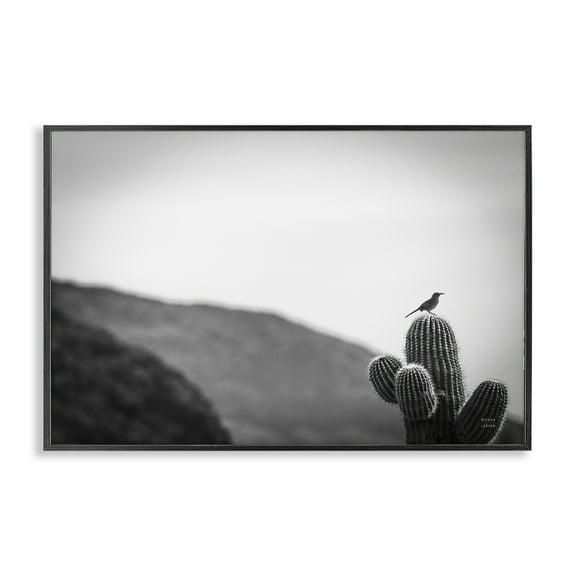 Stupell Industries On Guard Bird & Cactus Landscape & Nature Photography Black Framed Art Print Wall Art, 18 x 12