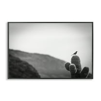 Stupell Industries On Guard Bird & Cactus Landscape & Nature Photography Black Framed Art Print Wall Art, 18 x 12