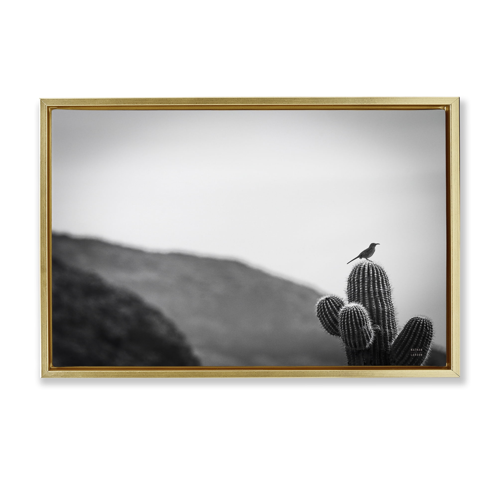 Stupell Industries On Guard Bird & Cactus Landscape & Nature Photography Gold Floater Framed Canvas Art Print Wall Art, 25 x 17