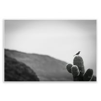 Stupell Industries On Guard Bird & Cactus Landscape & Nature Photography Unframed Art Print Wall Art, 15 x 10