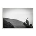 thumbnail image 1 of Stupell Industries On Guard Bird & Cactus Landscape & Nature Photography White Framed Art Print Wall Art, 18 x 12, 1 of 2