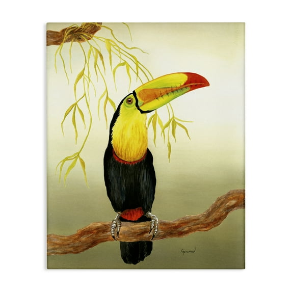 Stupell Industries One Toucan on Branch Animals & Insects Painting Gallery Wrapped Canvas Art Print Wall Art, 24 x 30