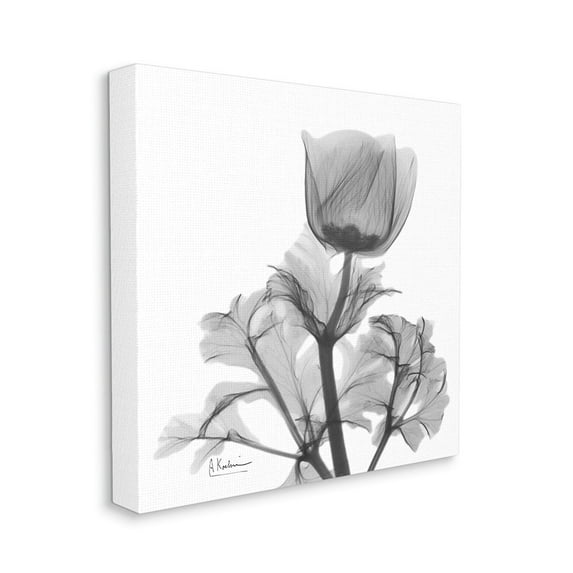 Stupell Industries Opaque Anemone Floral Black White Minimal Silhouette Canvas Wall Art by Albert Koetsier