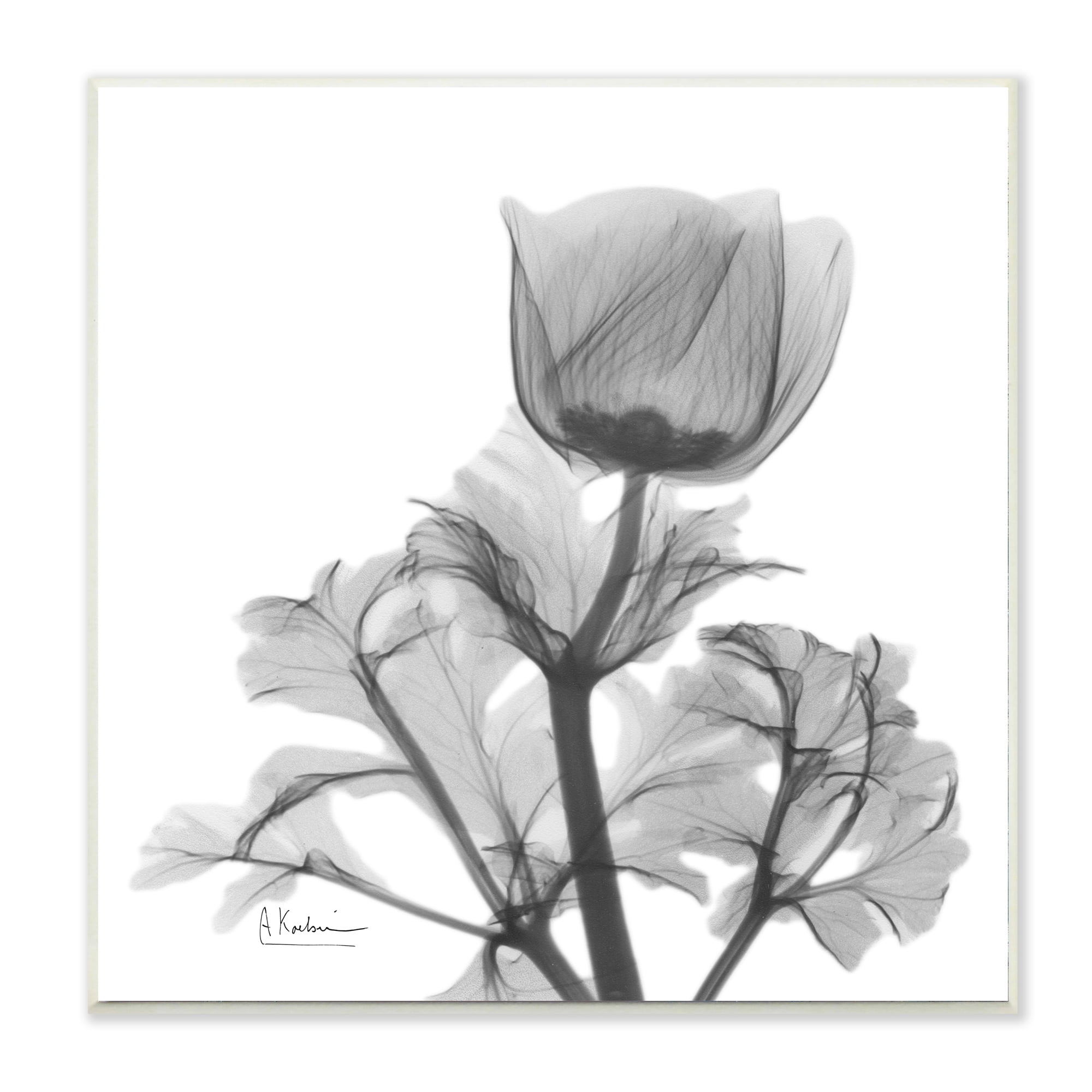 Stupell Industries Opaque Anemone Floral Black White Minimal Silhouette Wall Plaque by Albert Koetsier