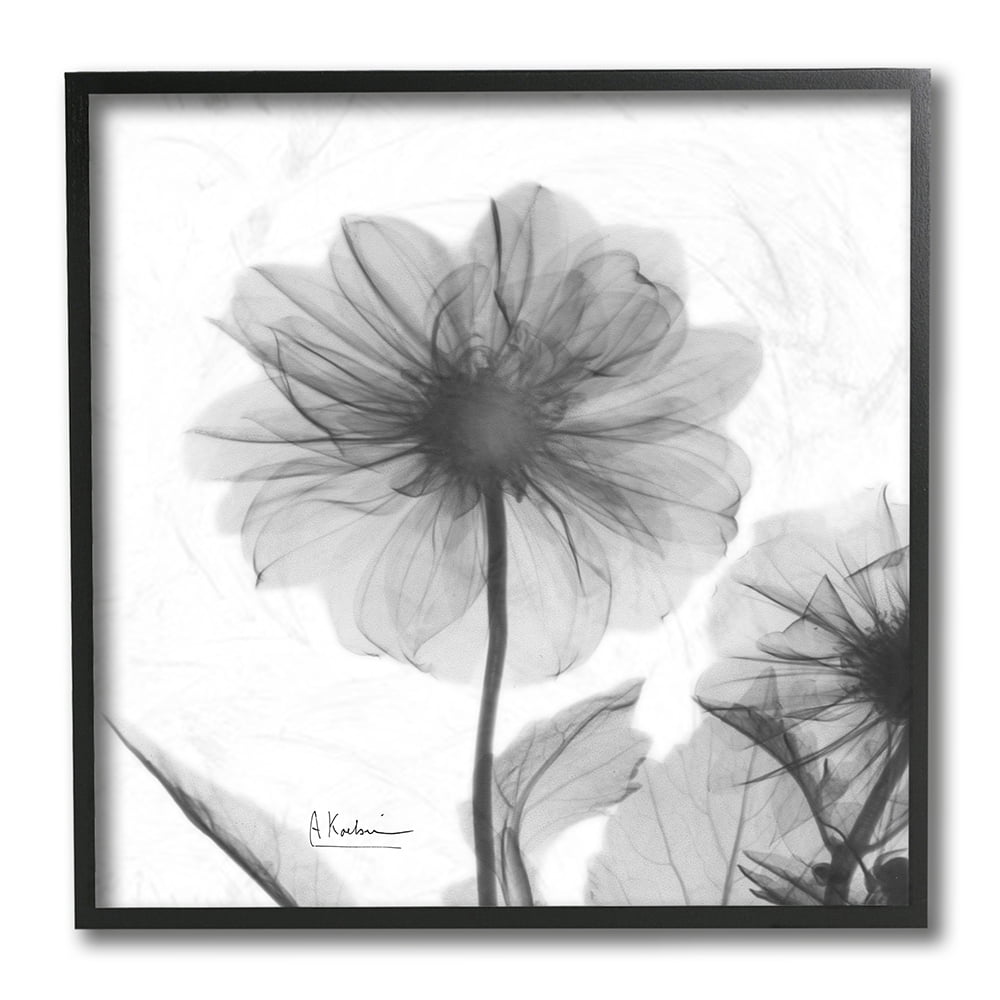 Stupell Industries Opaque Dahlia Flower Minimal Black White Silhouette Black Framed by Albert Koetsier