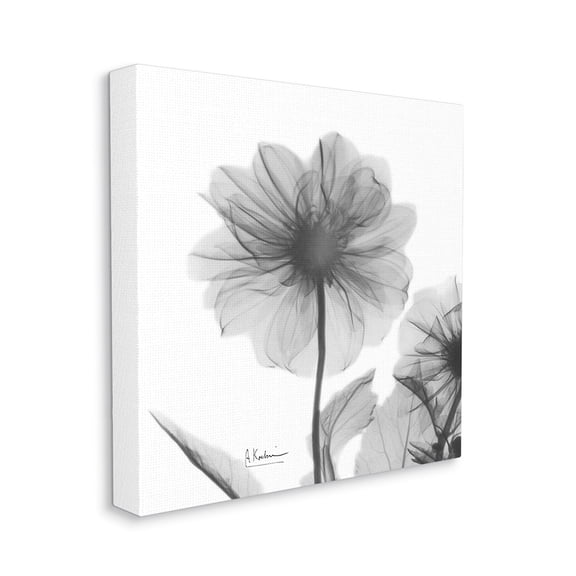 Stupell Industries Opaque Dahlia Flower Minimal Black White Silhouette Canvas Wall Art by Albert Koetsier