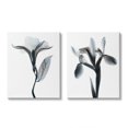 thumbnail image 1 of Stupell Industries Opaque Oleander Silhouette Minimal Nautical Floral Design by Albert Koetsier, 2 Piece, 16" x 20", 1 of 1