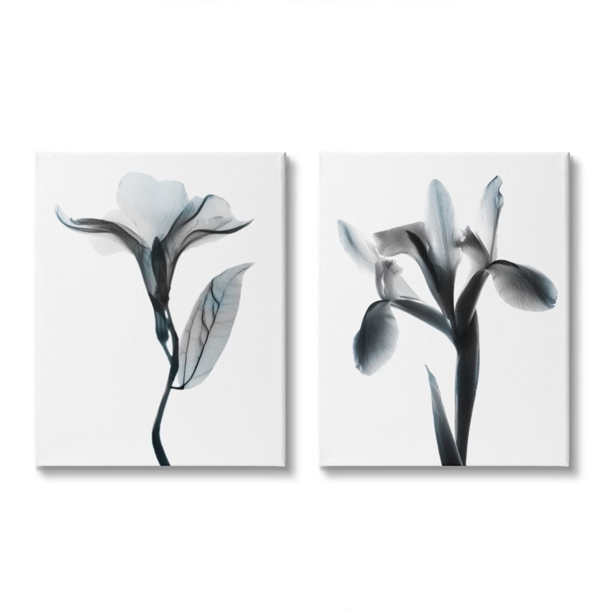 Stupell Industries Opaque Oleander Silhouette Minimal Nautical Floral Design by Albert Koetsier, 2 Piece, 24" x 30"