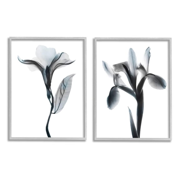 Stupell Industries Opaque Oleander Silhouette Minimal Nautical Floral Design by Albert Koetsier