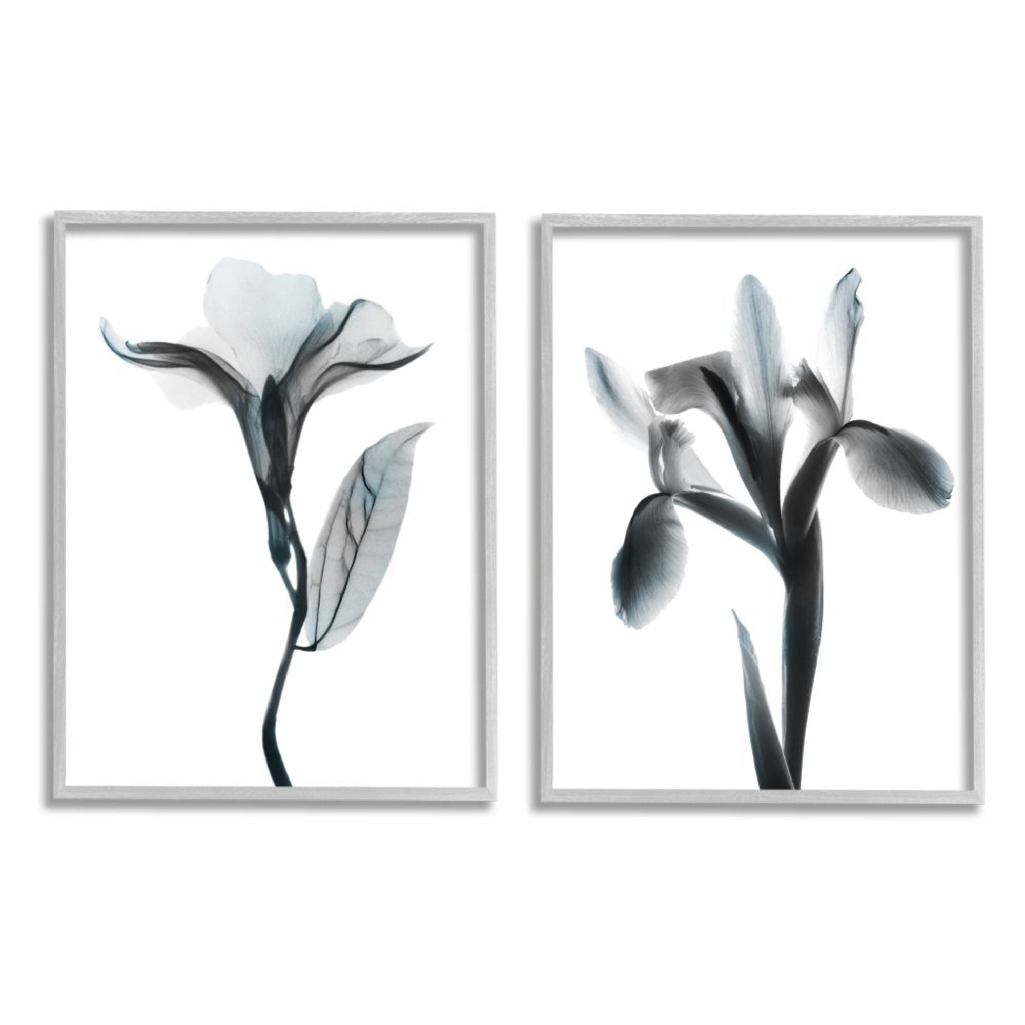 Stupell Industries Opaque Oleander Silhouette Minimal Nautical Floral Design by Albert Koetsier