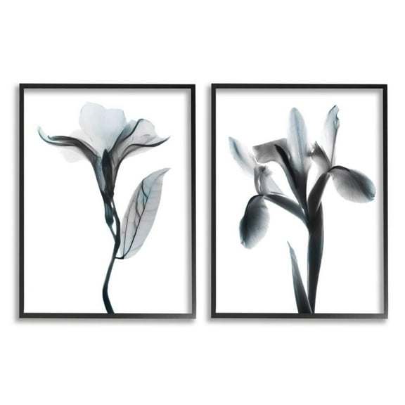 Stupell Industries Opaque Oleander Silhouette Minimal Nautical Floral Photography Black Framed Art Print Wall Art Set of 2, 11x14, by Albert Koetsier