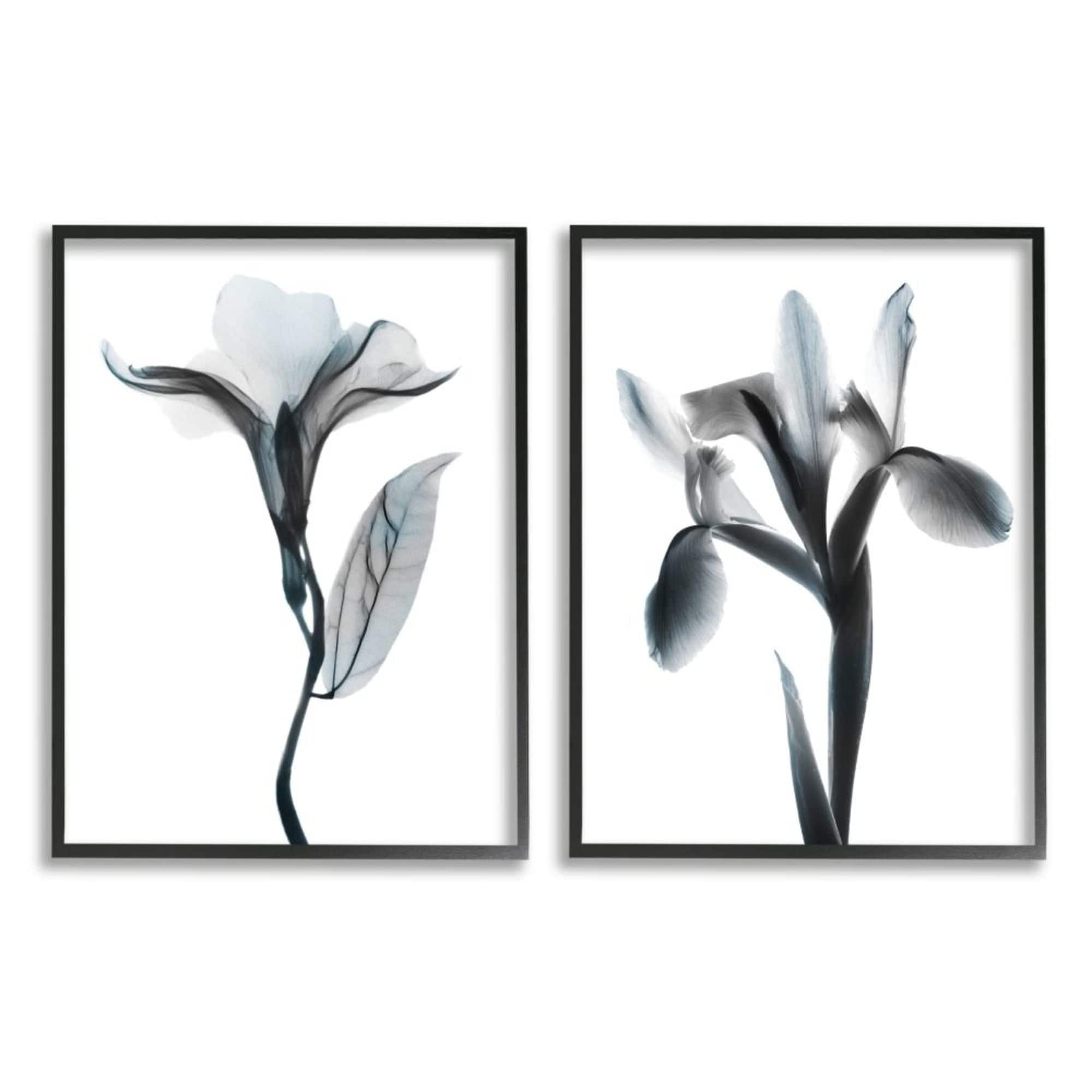 Stupell Industries Opaque Oleander Silhouette Minimal Nautical Floral Photography Black Framed Art Print Wall Art Set of 2, 16x20, by Albert Koetsier