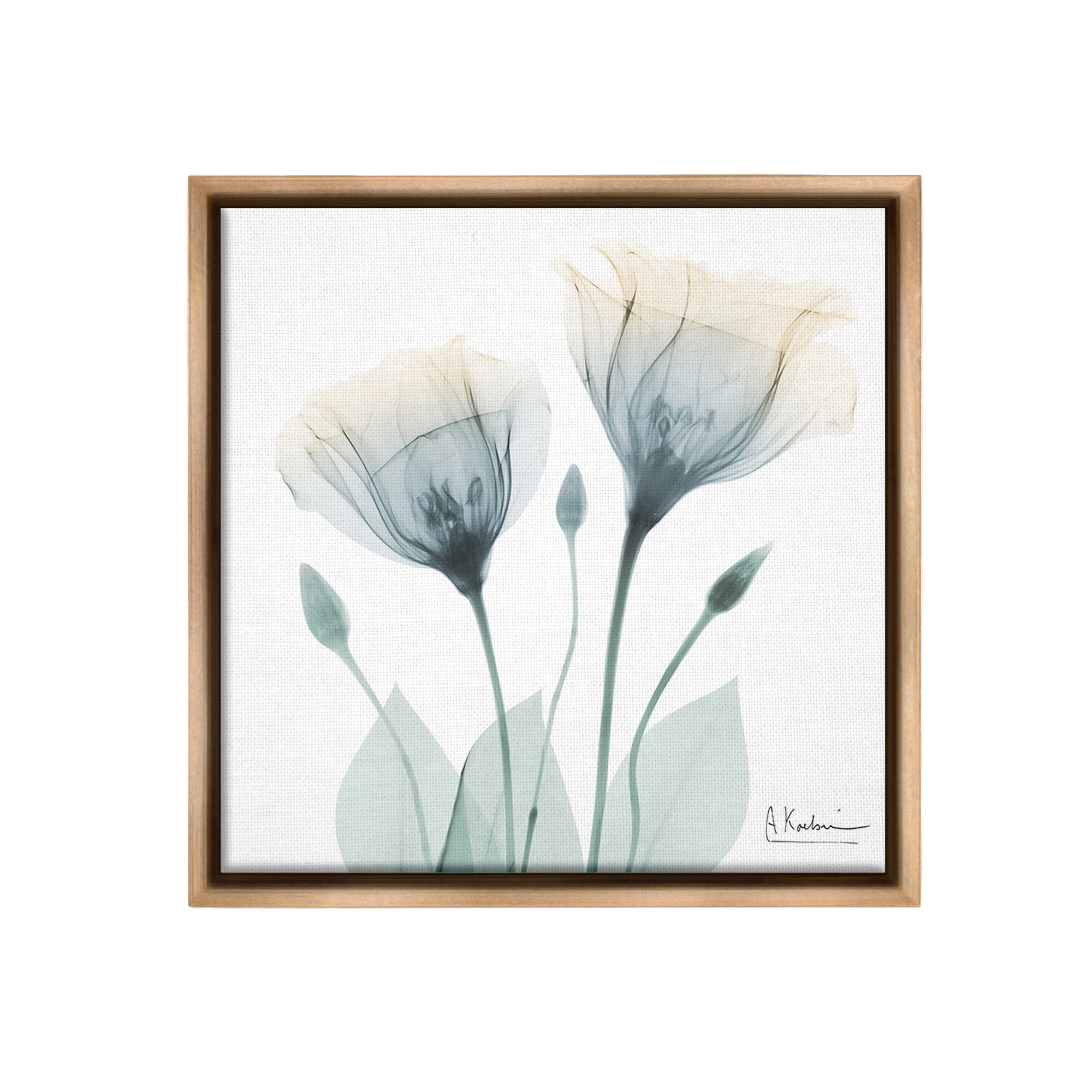 Stupell Industries Opaque Tulip Duo Botanical & Floral Photography Brown Floater Framed Canvas Art Print Wall Art, 18 x 18