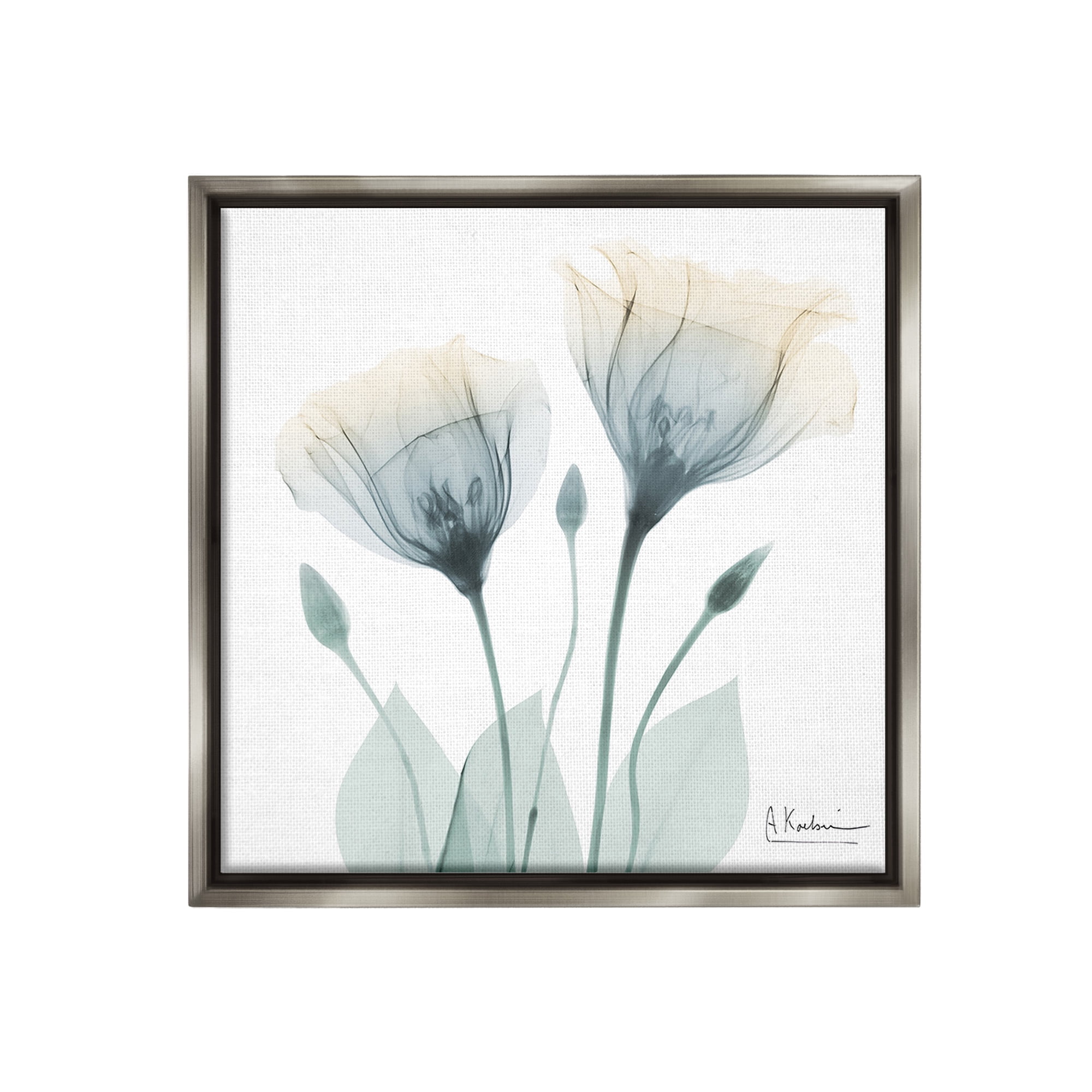 Stupell Industries Opaque Tulip Duo Botanical & Floral Photography Gray Floater Framed Canvas Art Print Wall Art, 25 x 25