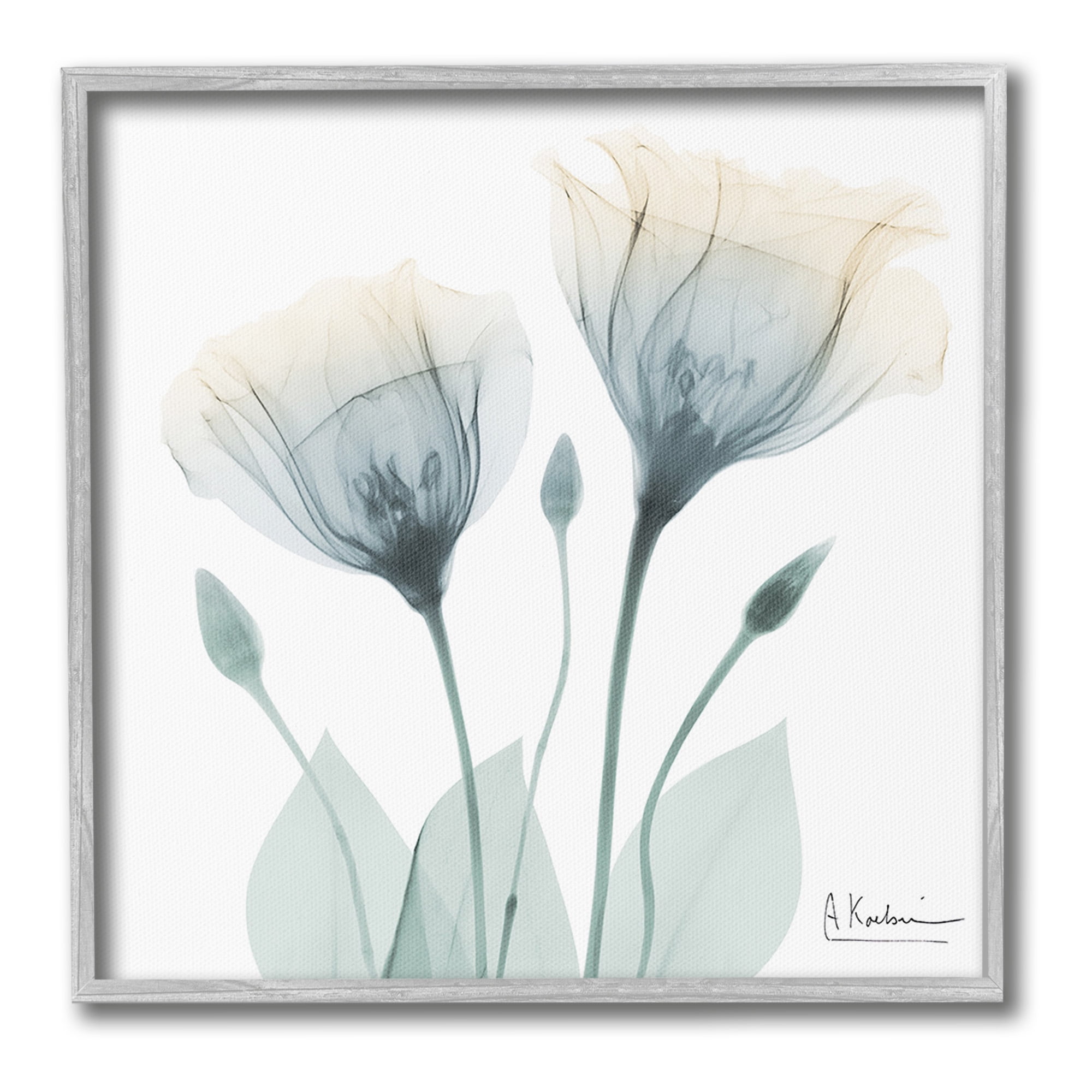 Stupell Industries Opaque Tulip Duo Botanical & Floral Photography Gray Framed Art Print Wall Art, 17 x 17