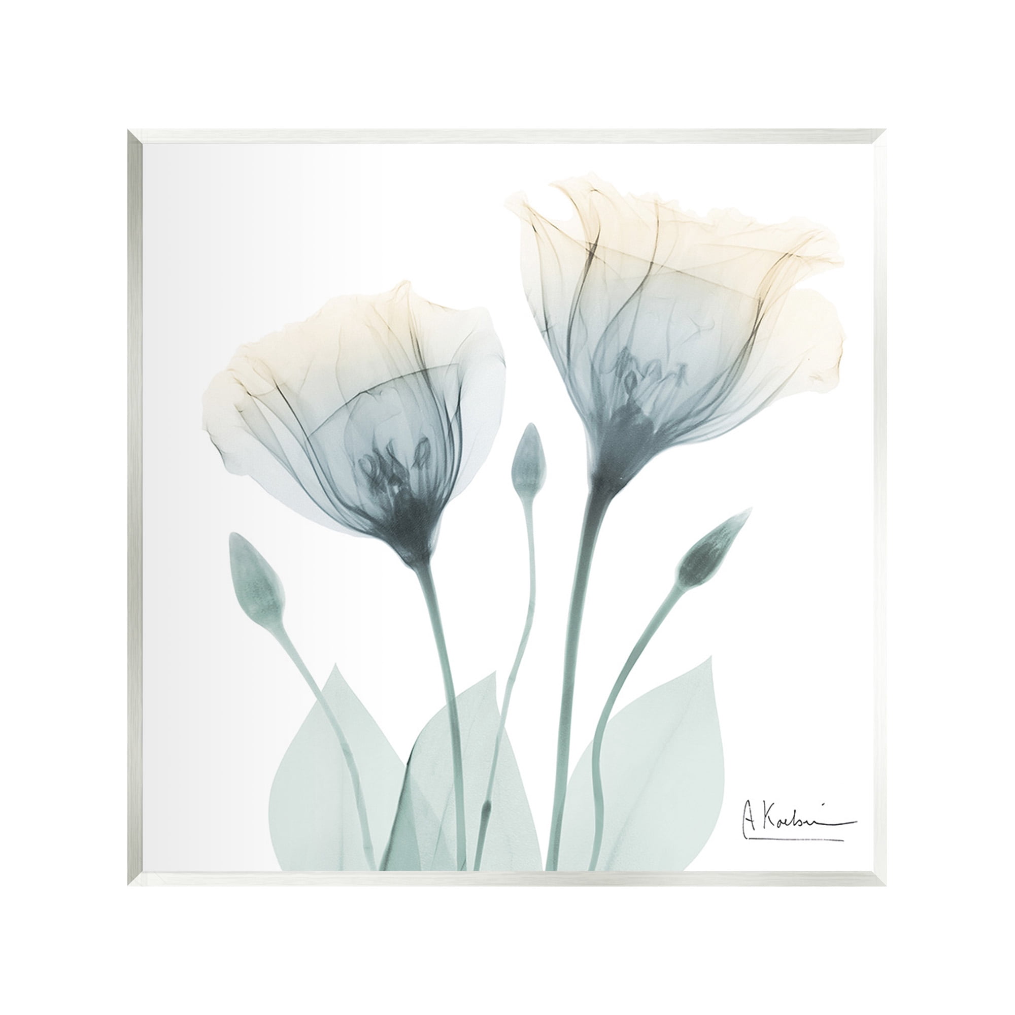 Stupell Industries Opaque Tulip Duo Botanical & Floral Photography Unframed Art Print Wall Art, 12 x 12
