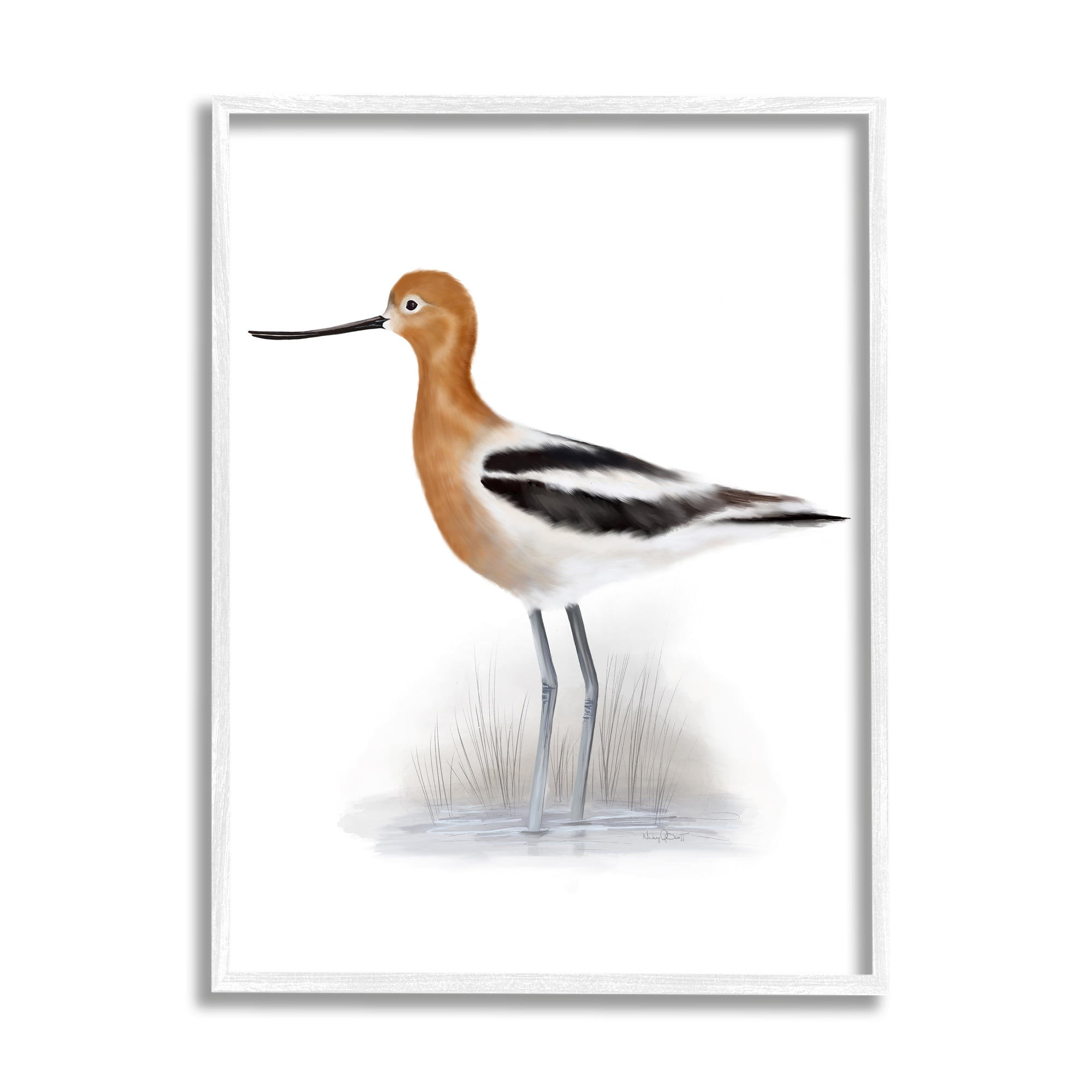 Stupell Industries Orange Avocet Marshland Bird Black Stripe Wings, 16 x 20, Designed by Studio Q