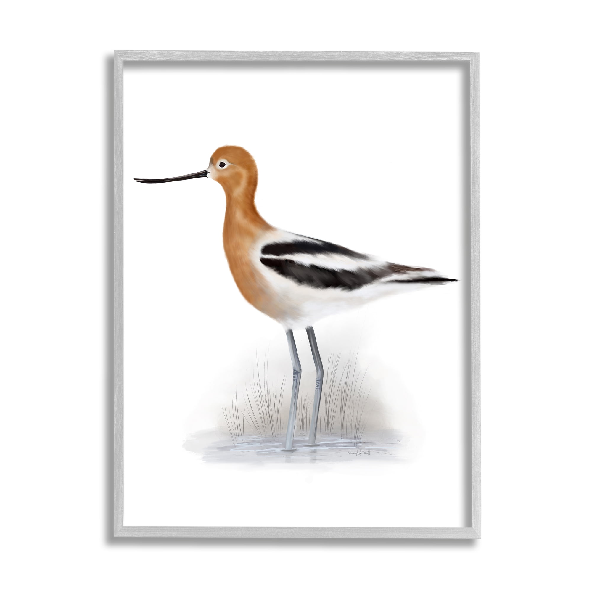 Stupell Industries Orange Avocet Marshland Bird Black Stripe Wings, 24 x 30, Designed by Studio Q