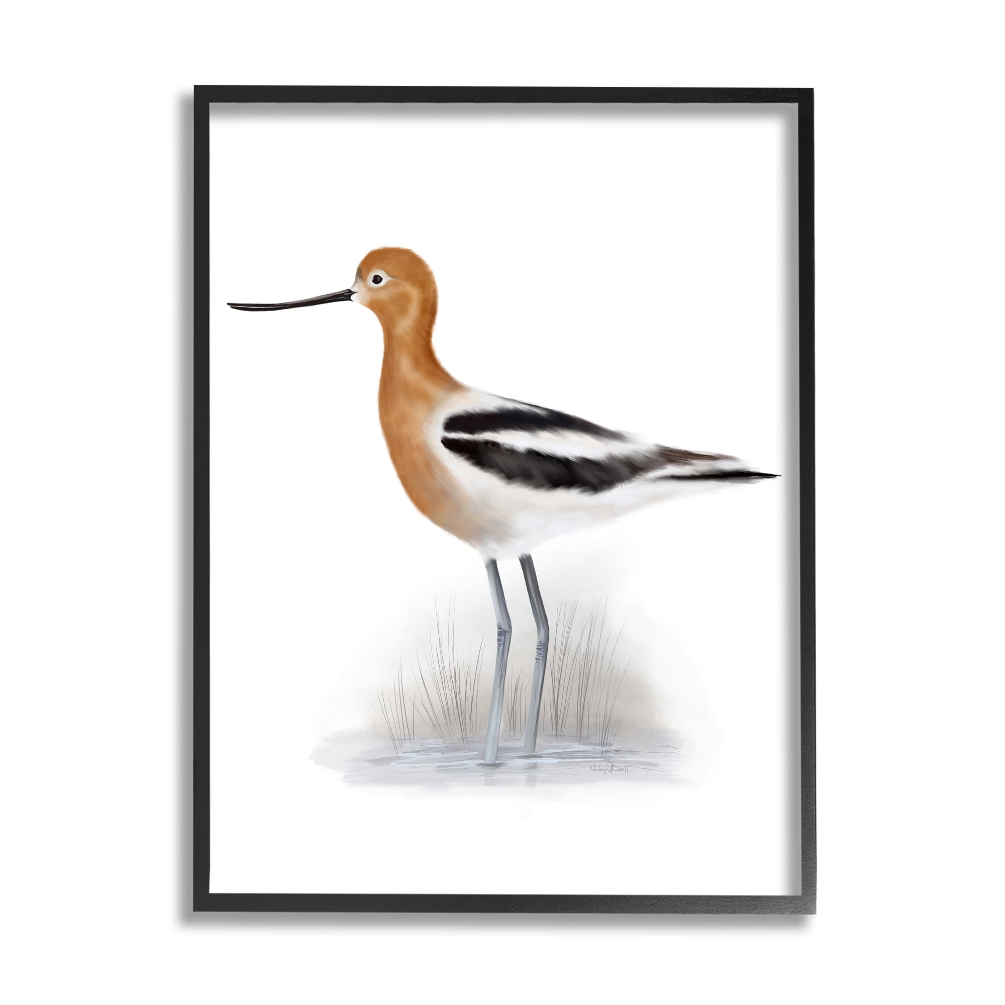 Stupell Industries Orange Avocet Marshland Bird Black Stripe Wings Classic Drawing Black Framed Art Print Wall Art, 11 x 14, Design by Studio Q