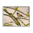 thumbnail image 1 of Stupell Industries Orange Bird Mossy Tree Branch Photograph Gray Framed Art Print Wall Art, Design by Lil' Rue, 1 of 7