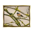 thumbnail image 1 of Stupell Industries Orange Bird Mossy Tree Branch Photograph Metallic Gold Floating Framed Canvas Print Wall Art, Design by Lil' Rue, 1 of 6