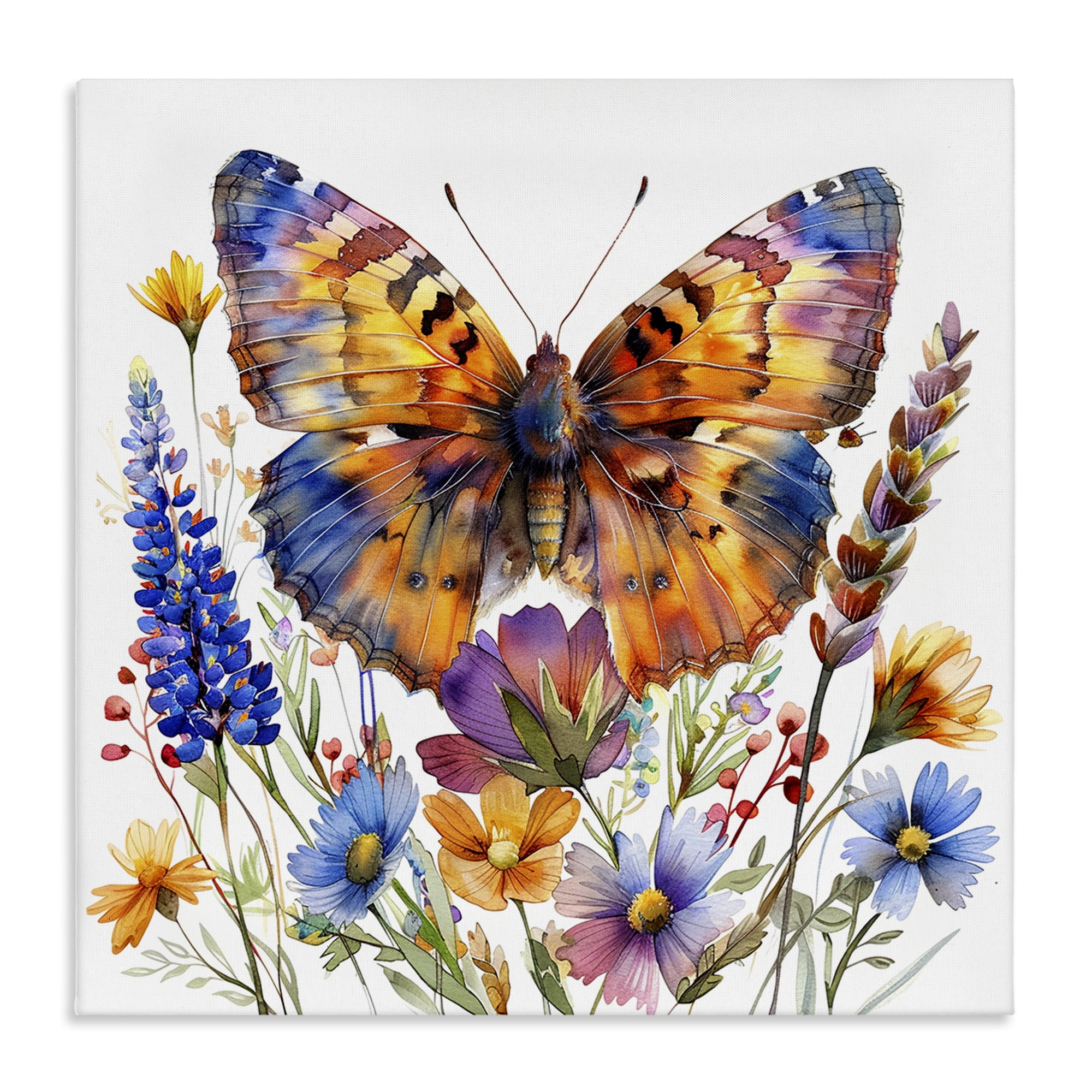 Stupell Industries Orange & Blue Butterfly Insects Painting Wrapped Canvas Art Print Wall Art, 24 x 24