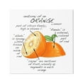 thumbnail image 1 of Stupell Industries Orange Citrus Fruit Chart Informative Learning Diagram Graphic Art Gallery Wrapped Canvas Print Wall Art, Design by Dishique, 1 of 5