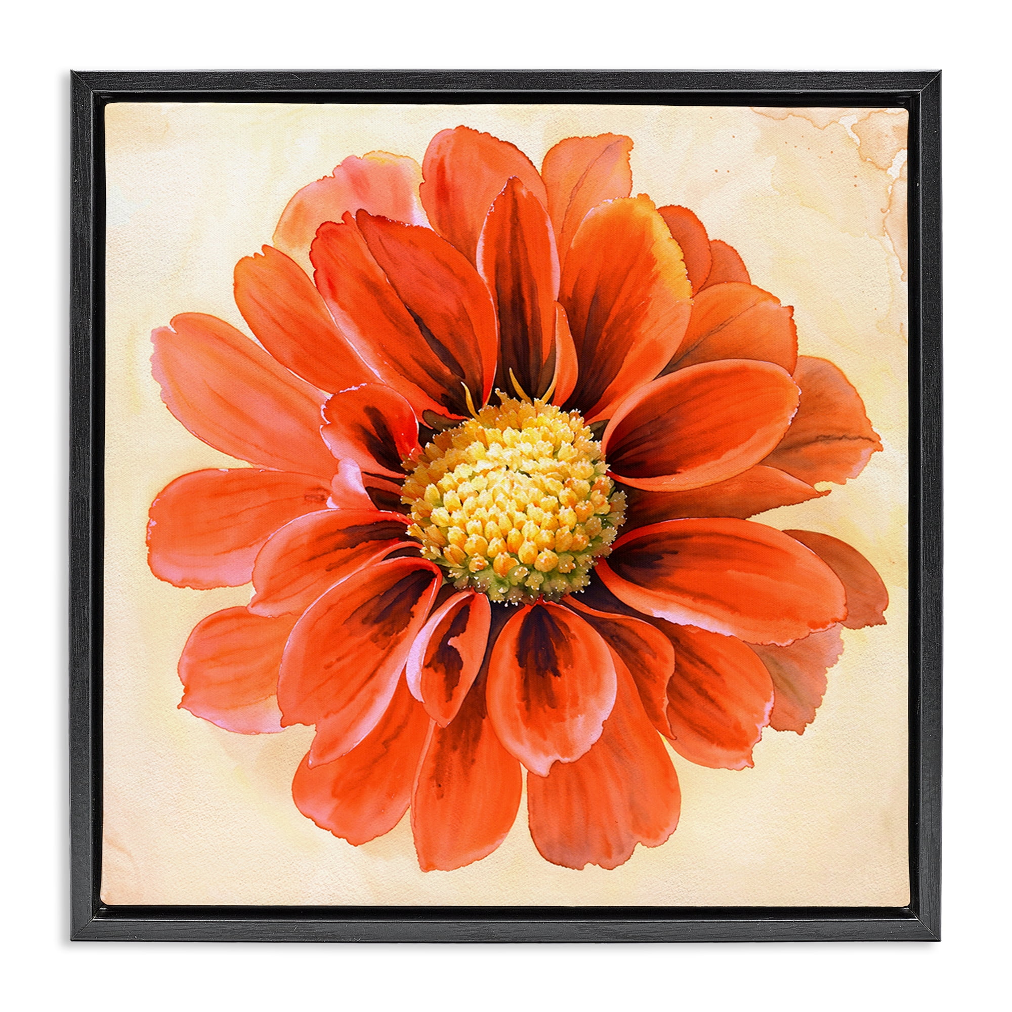 Stupell Industries Orange Dahlia Bloom Plants & Flowers Painting Black Floater Framed Canvas Art Print Wall Art, 25 x 25
