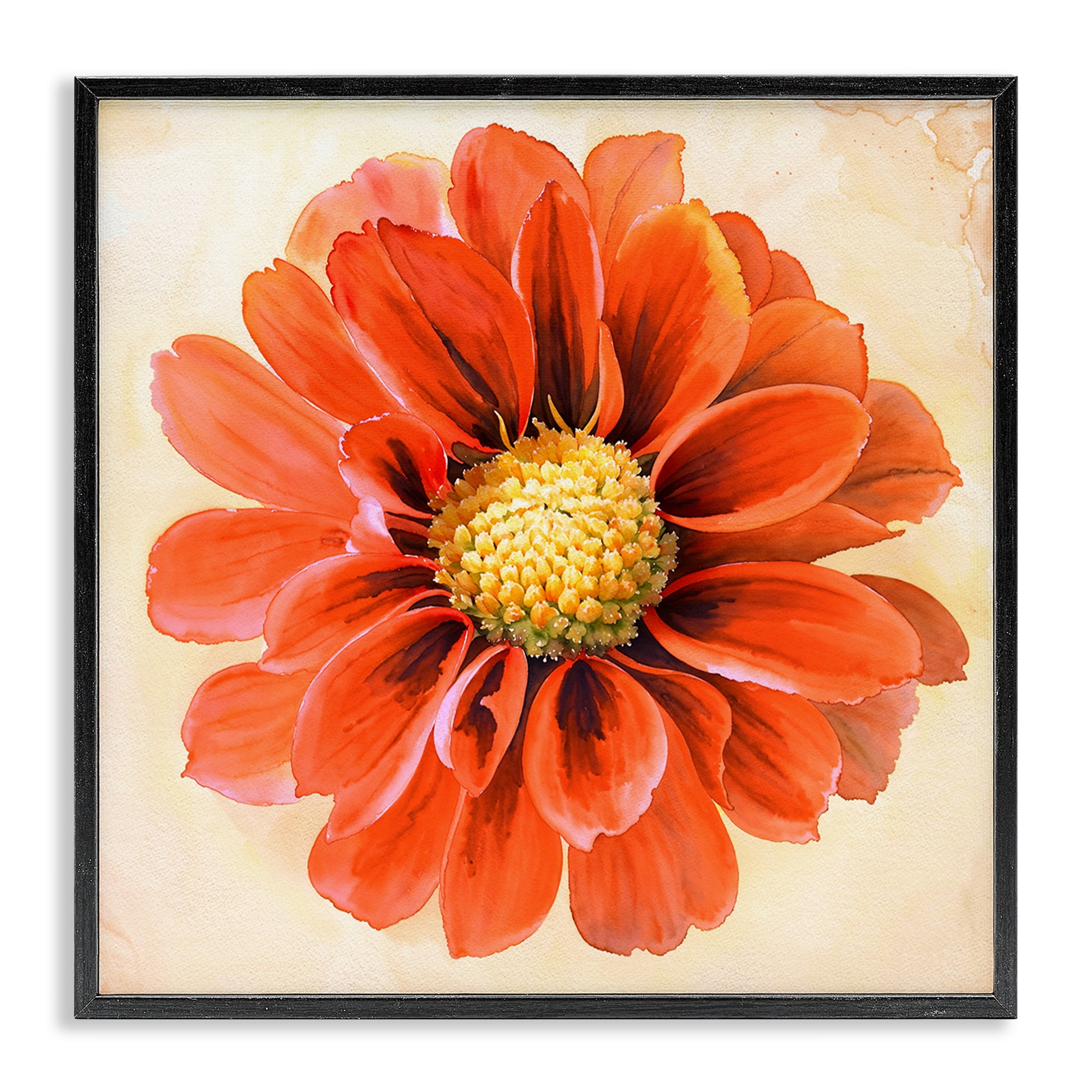 Stupell Industries Orange Dahlia Bloom Plants & Flowers Painting Black Framed Art Print Wall Art, 12 x 12
