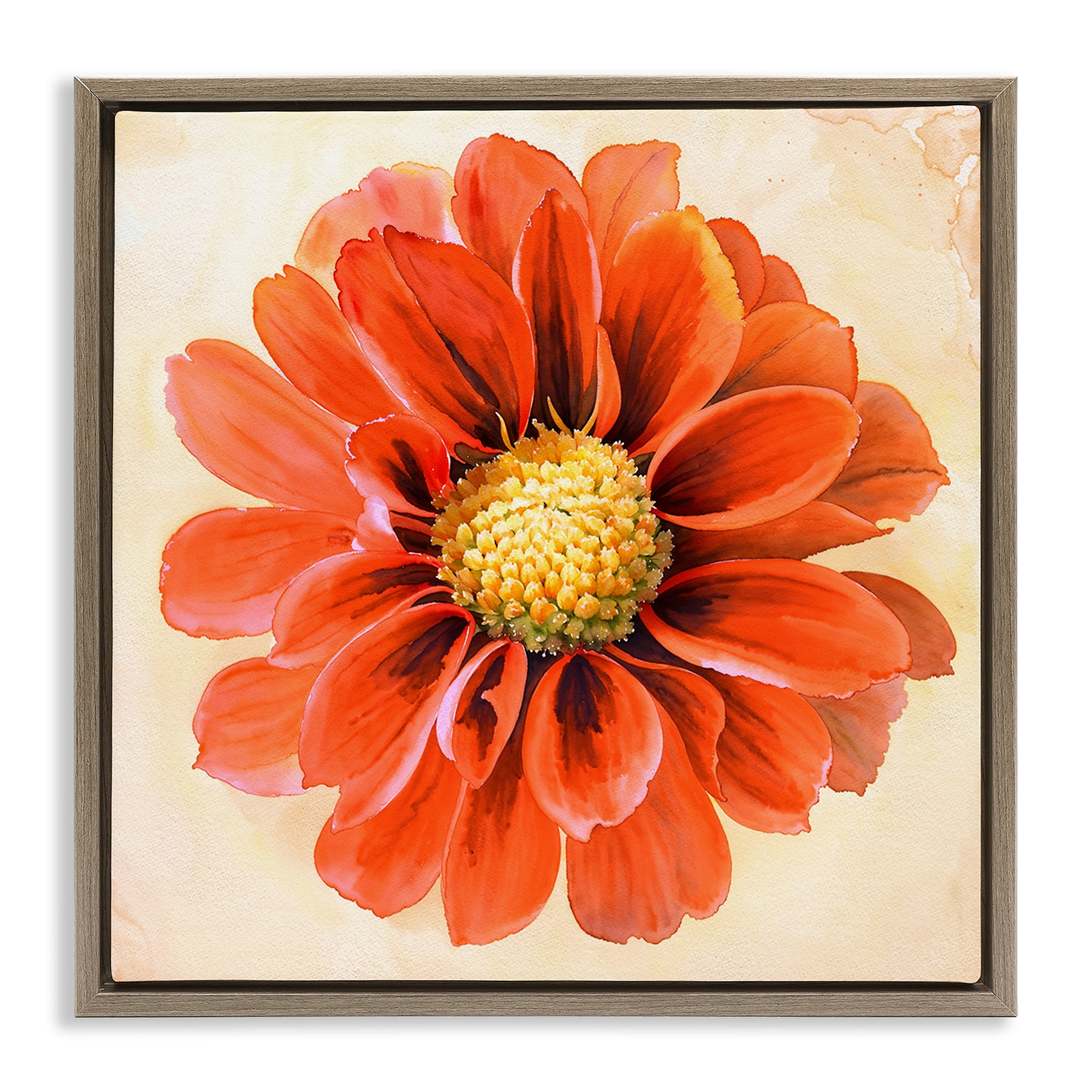 Stupell Industries Orange Dahlia Bloom Plants & Flowers Painting Brown Floater Framed Canvas Art Print Wall Art, 25 x 25
