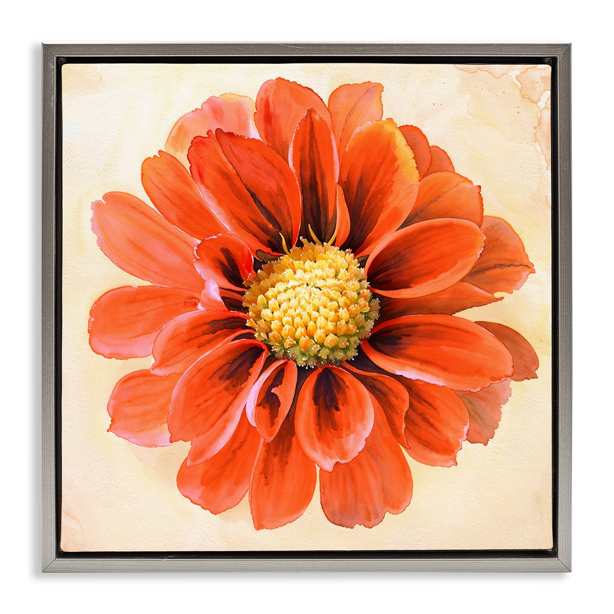 Stupell Industries Orange Dahlia Bloom Plants & Flowers Painting Gray Floater Framed Canvas Art Print Wall Art, 18 x 18