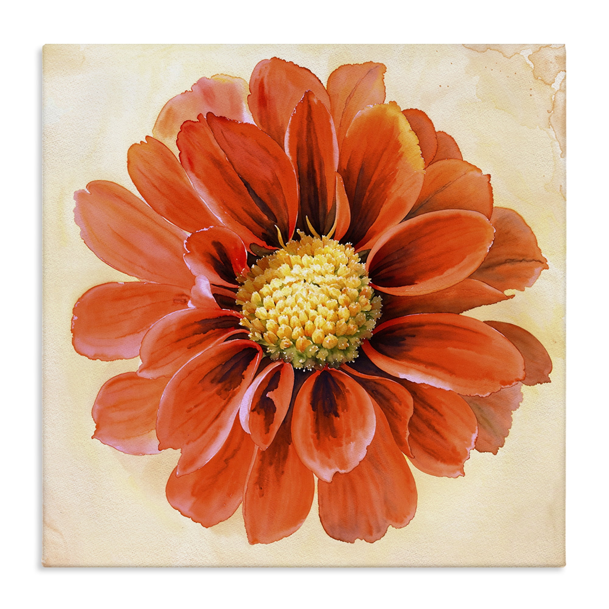 Stupell Industries Orange Dahlia Bloom Plants & Flowers Painting Wrapped Canvas Art Print Wall Art, 30 x 30