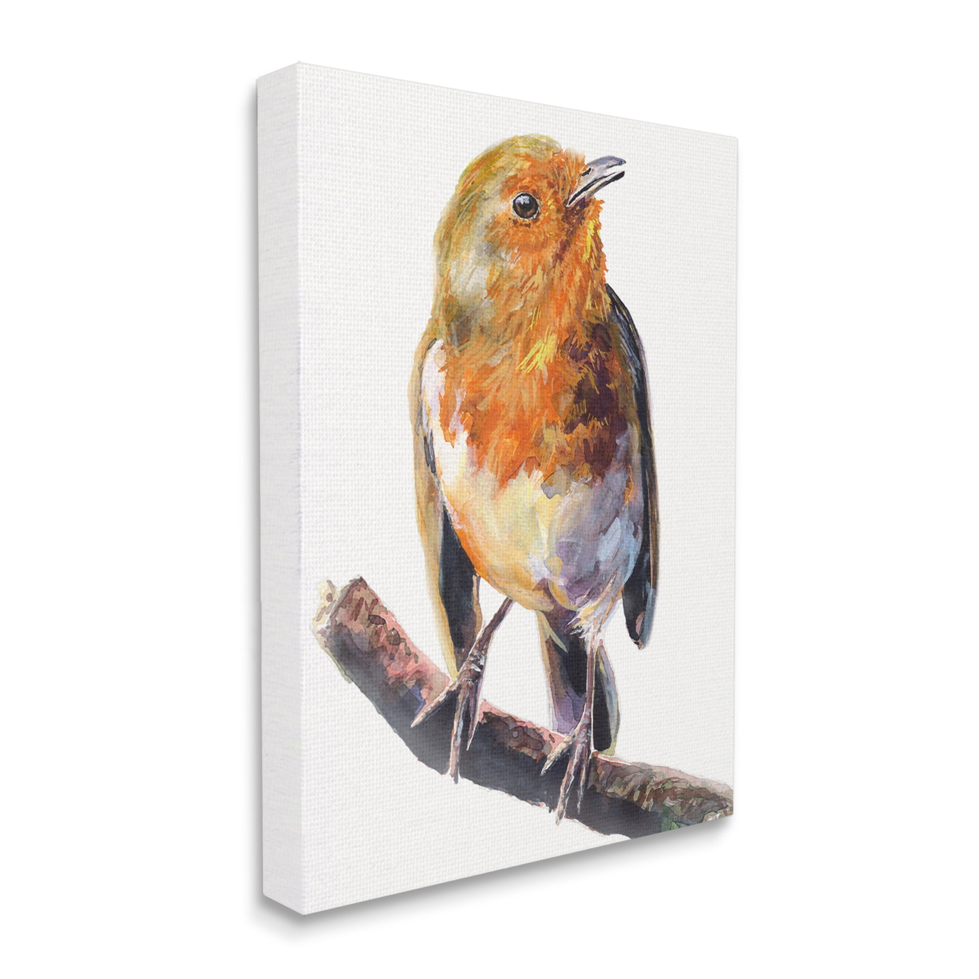 Stupell Industries Orange European Robin Perched Bird Portrait Canvas Wall Art, 16 x 20, Design by George Dyachenko