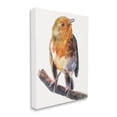 thumbnail image 1 of Stupell Industries Orange European Robin Perched Bird Portrait Canvas Wall Art, 24 x 30, Design by George Dyachenko, 1 of 6