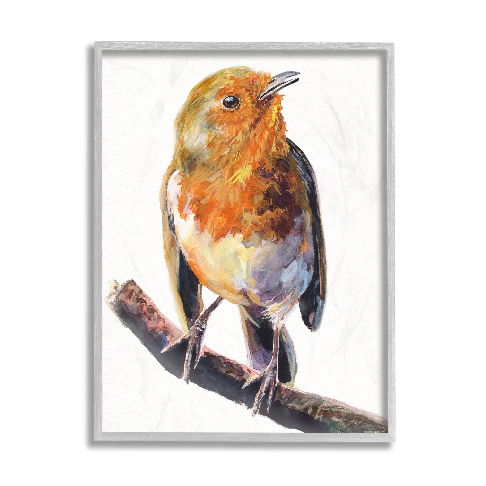 Stupell Industries Orange European Robin Perched Bird Portrait Grey Framed, 11 x 14, Design by George Dyachenko