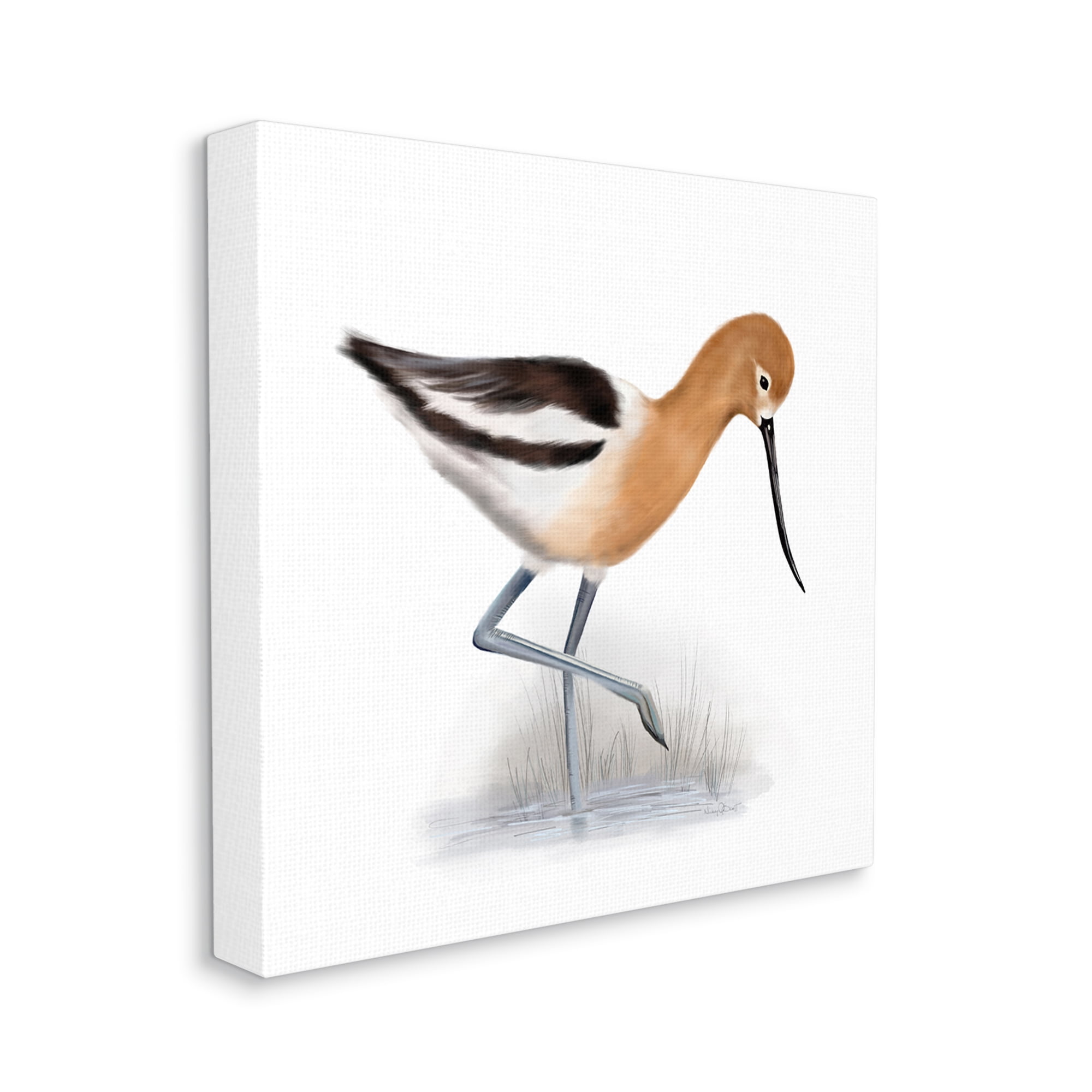 Stupell Industries Orange Feathered Avocet Wetland Bird Long Beak, 30 x 30, Designed by Studio Q