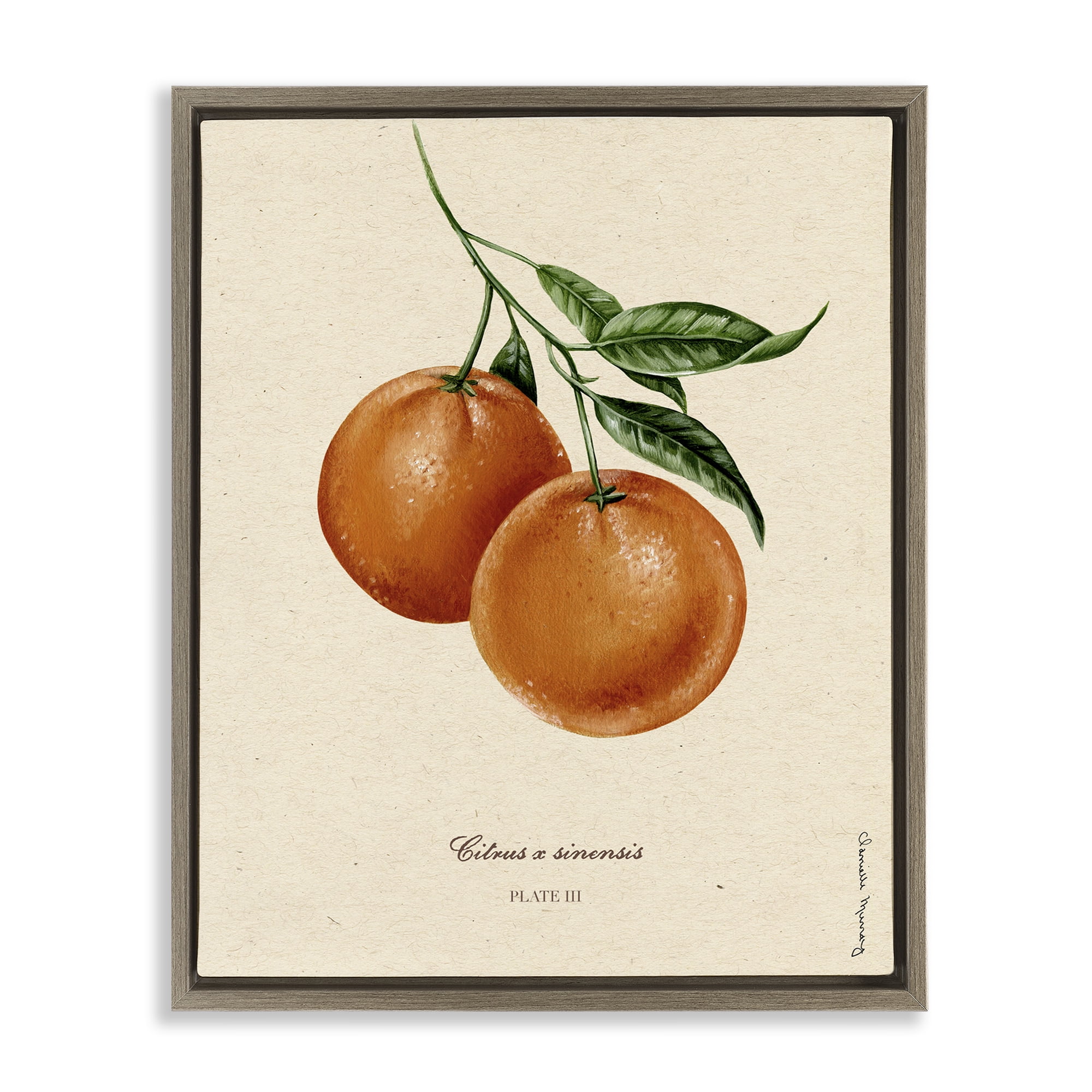 Stupell Industries Orange Fruit Portrait Brown Framed Floater Canvas Wall Art, design by Danielle Murray