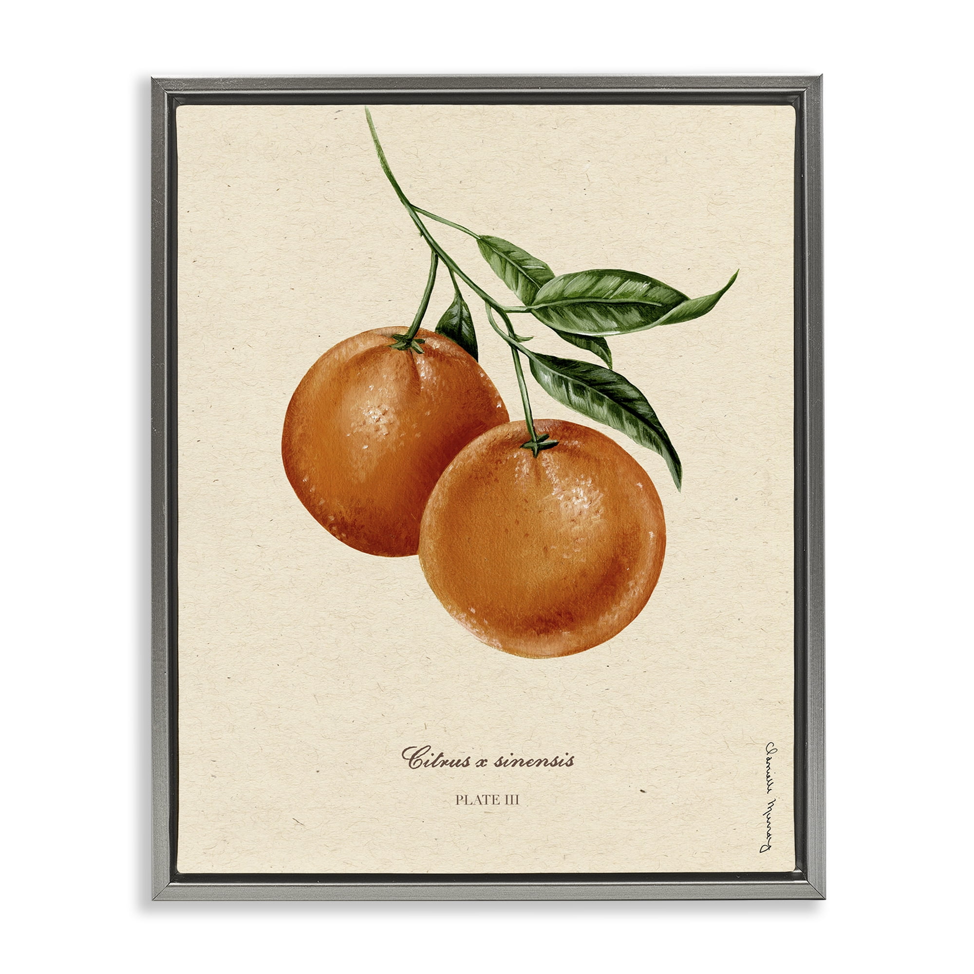 Stupell Industries Orange Fruit Portrait Gray Framed Floater Canvas Wall Art, design by Danielle Murray