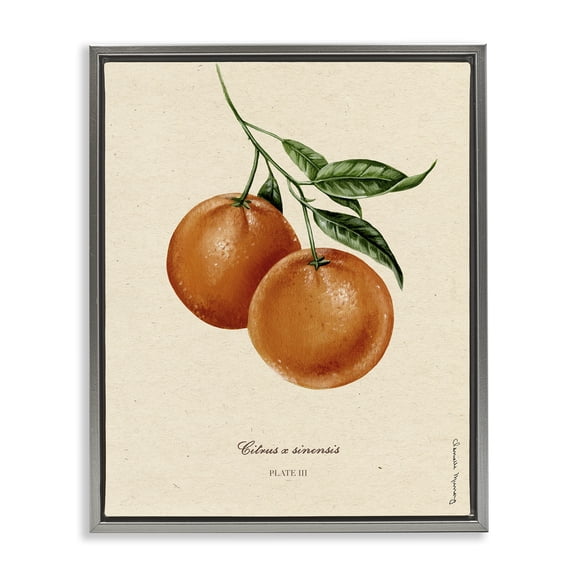 Stupell Industries Cottage Orange Fruit Portrait Gray Floating Frame Canvas Art, 17 x 21, by Danielle Murray