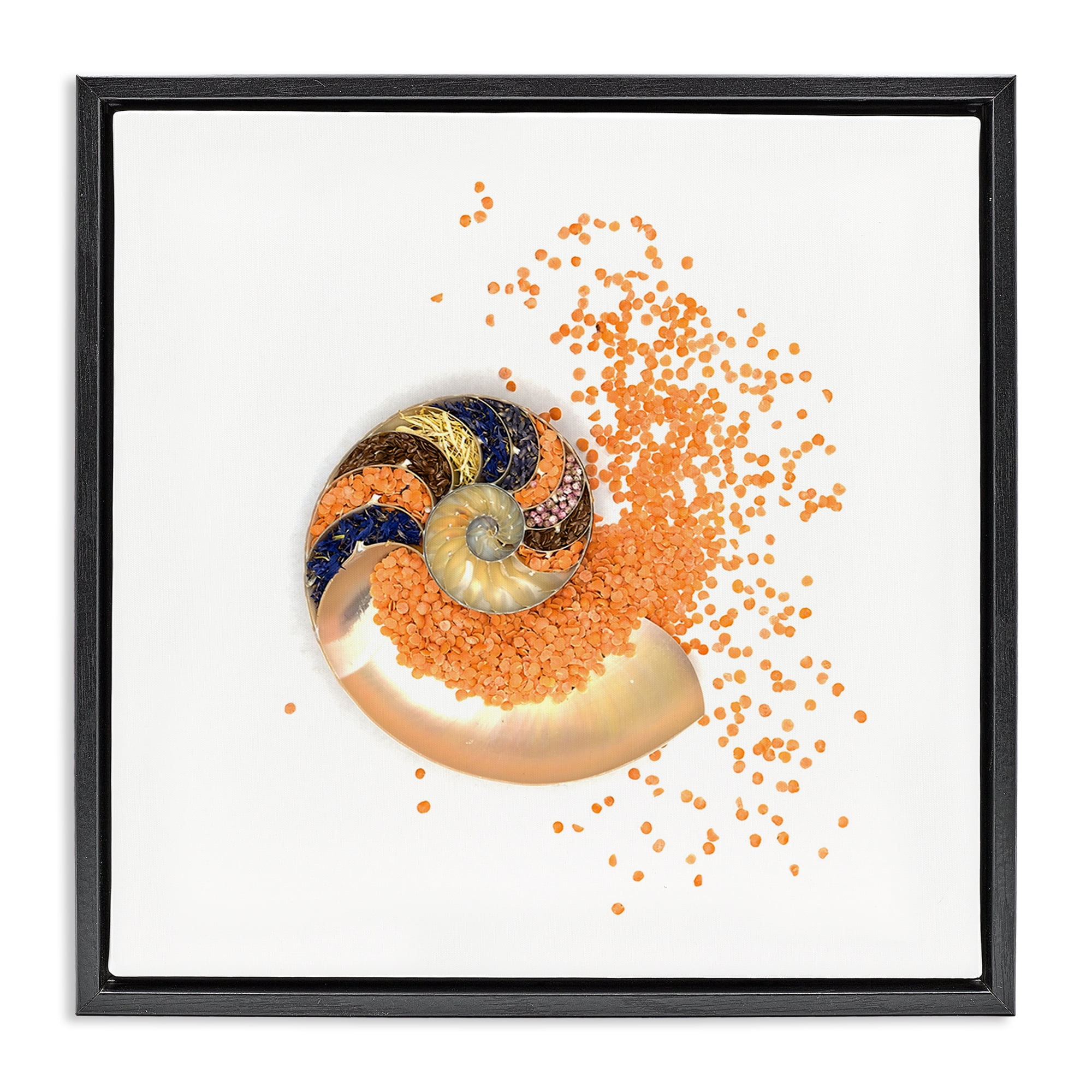 Stupell Industries Orange Nautilus Spiral Black Framed Floater Canvas Wall Art, design by Beth Adoette