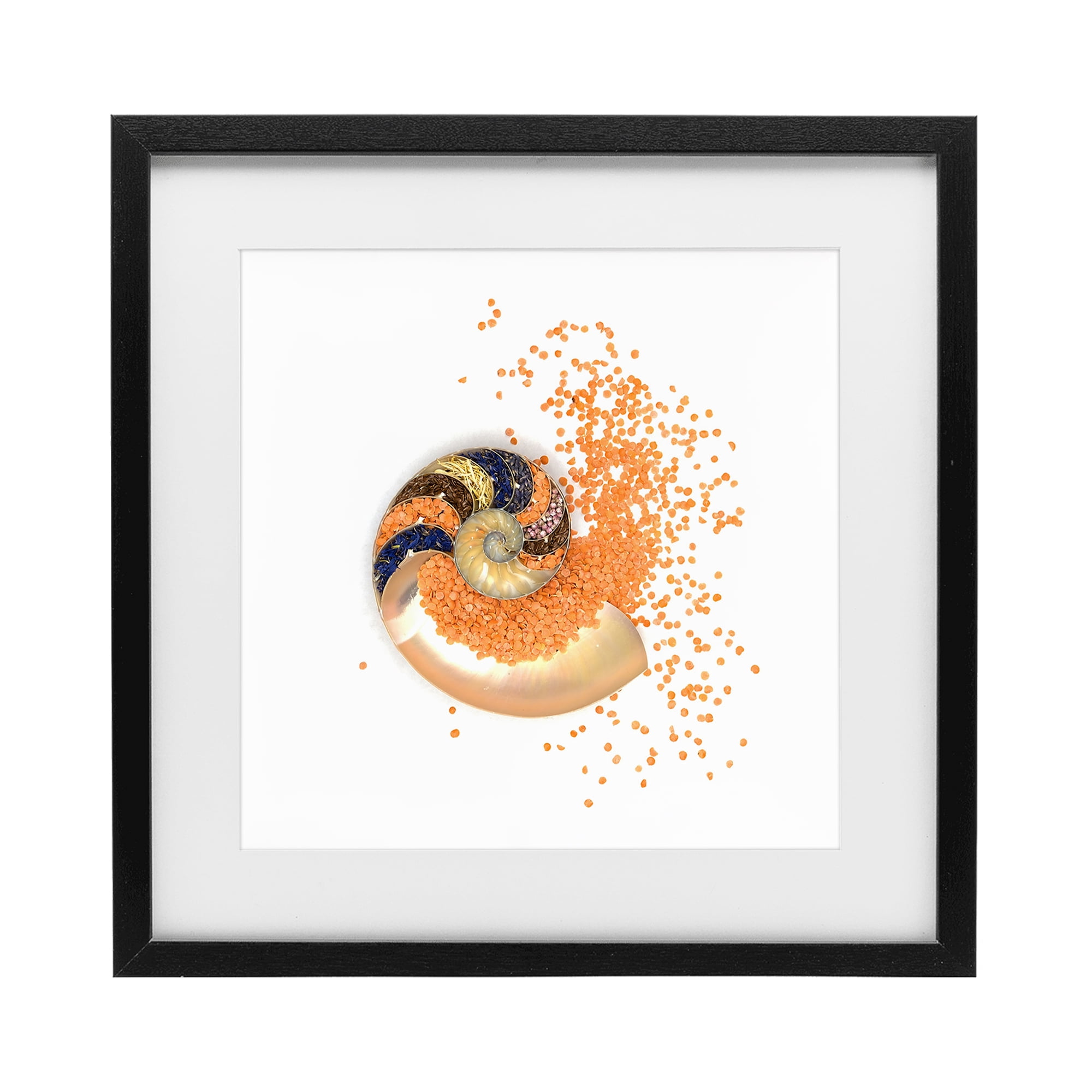 Stupell Industries Orange Nautilus Spiral Black Framed Print Under Glass, design by Beth Adoette