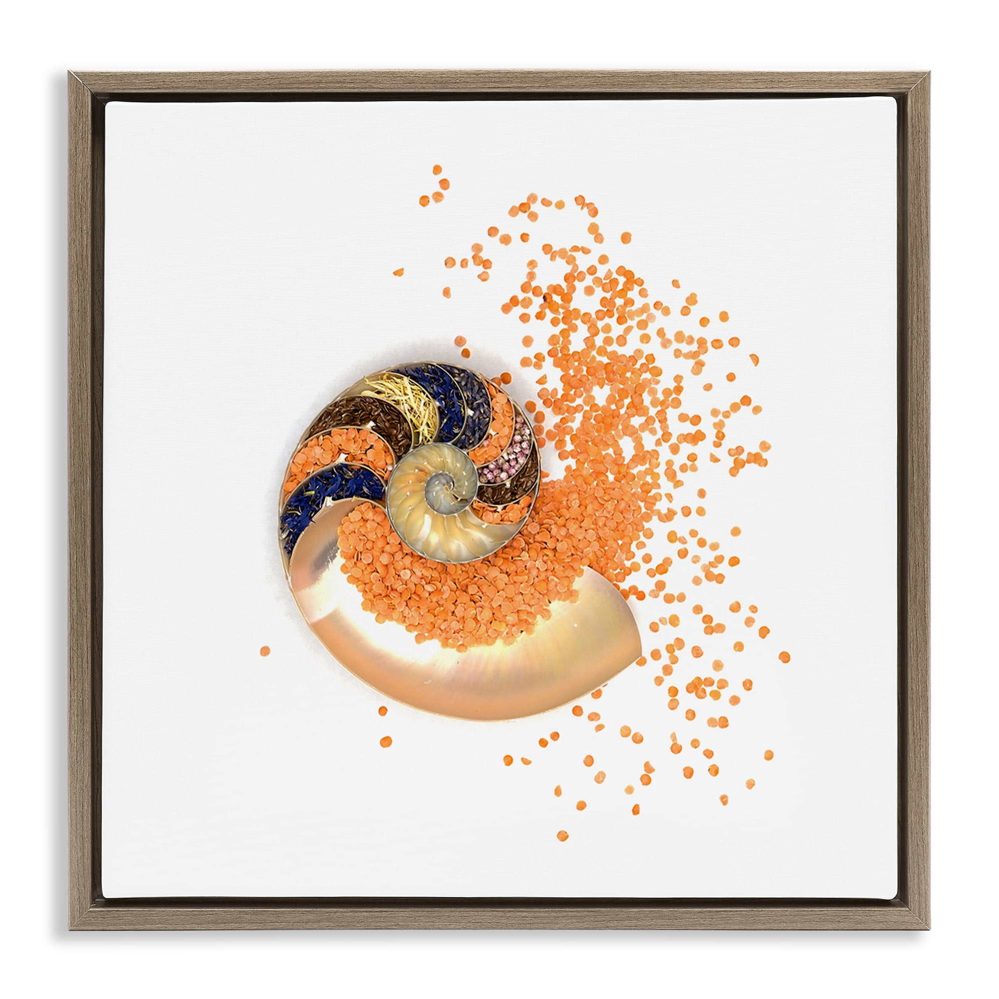 Stupell Industries Orange Nautilus Spiral Brown Framed Floater Canvas Wall Art, design by Beth Adoette