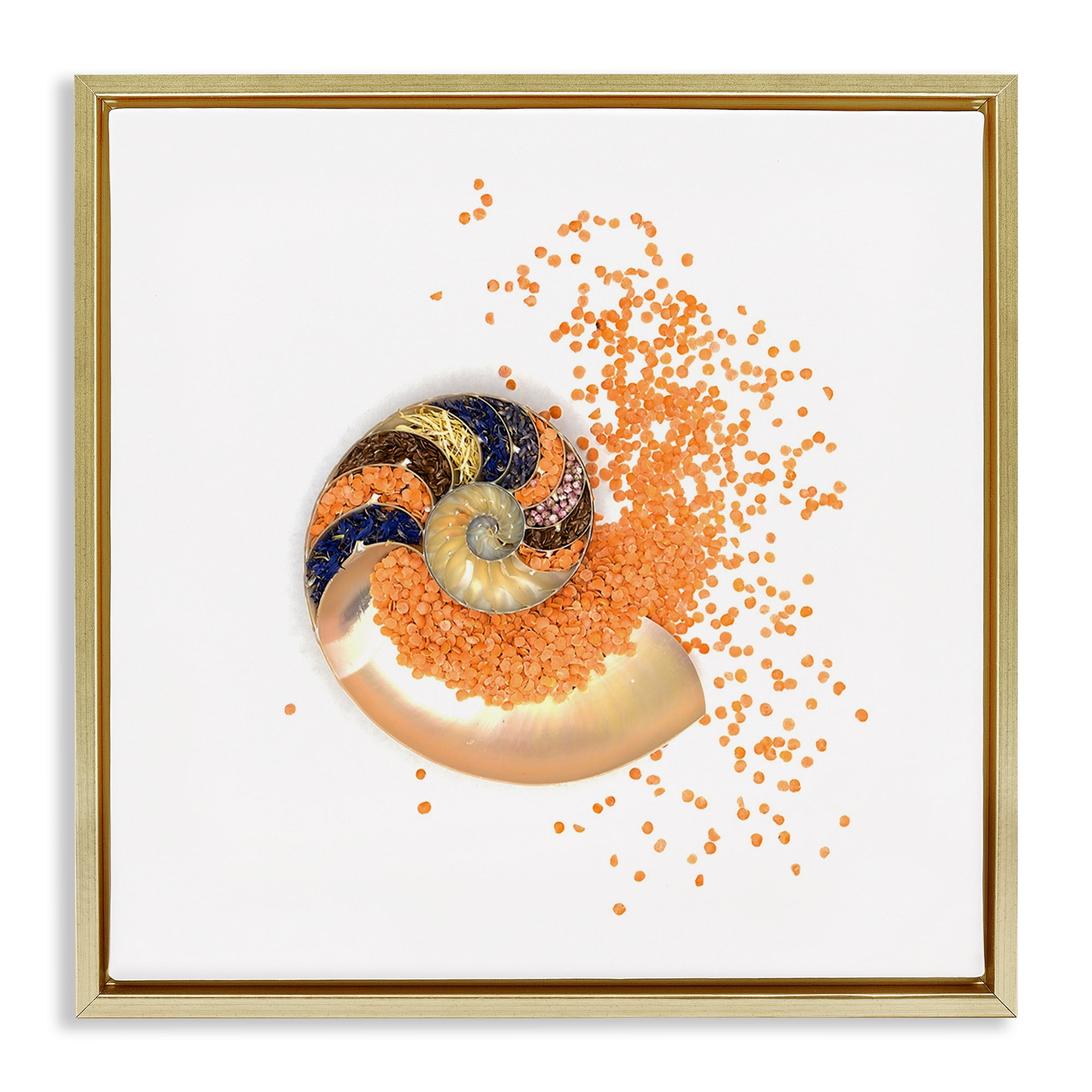 Stupell Industries Orange Nautilus Spiral Gold Framed Floater Canvas Wall Art, design by Beth Adoette