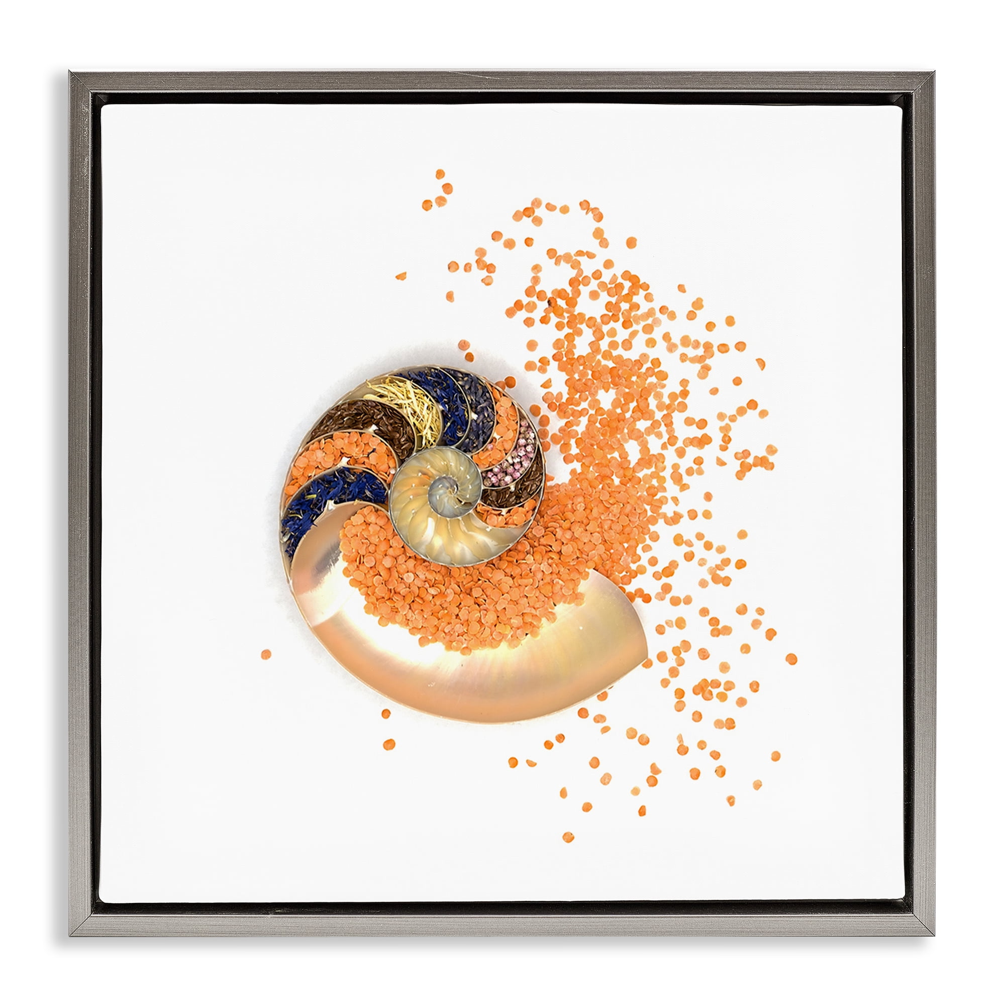 Stupell Industries Orange Nautilus Spiral Gray Framed Floater Canvas Wall Art, design by Beth Adoette