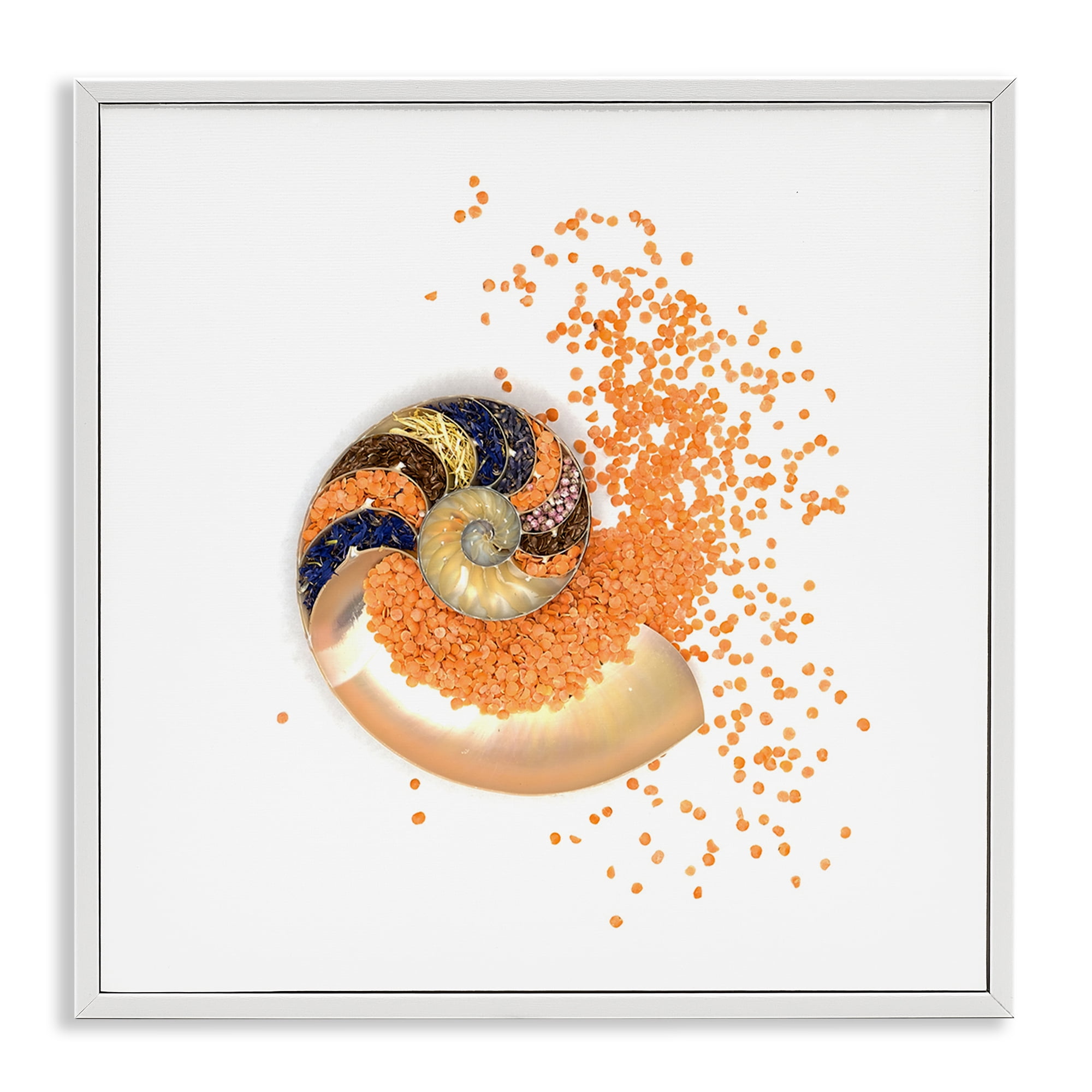 Stupell Industries Orange Nautilus Spiral White Framed Giclee Art, design by Beth Adoette