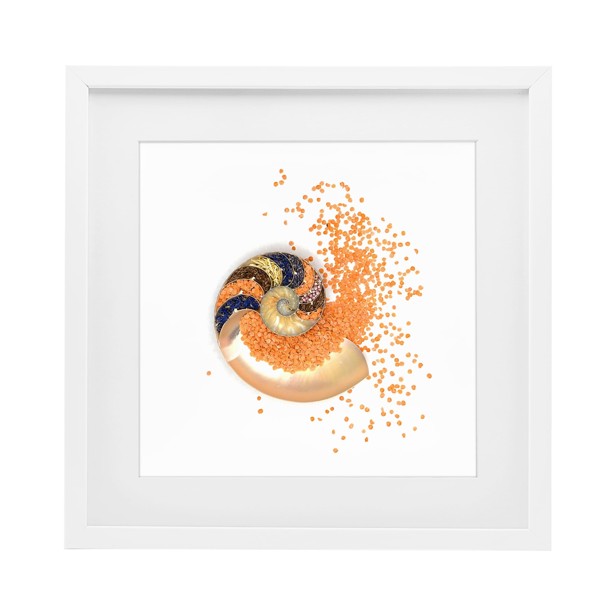 Stupell Industries Orange Nautilus Spiral White Framed Print Under Glass, design by Beth Adoette
