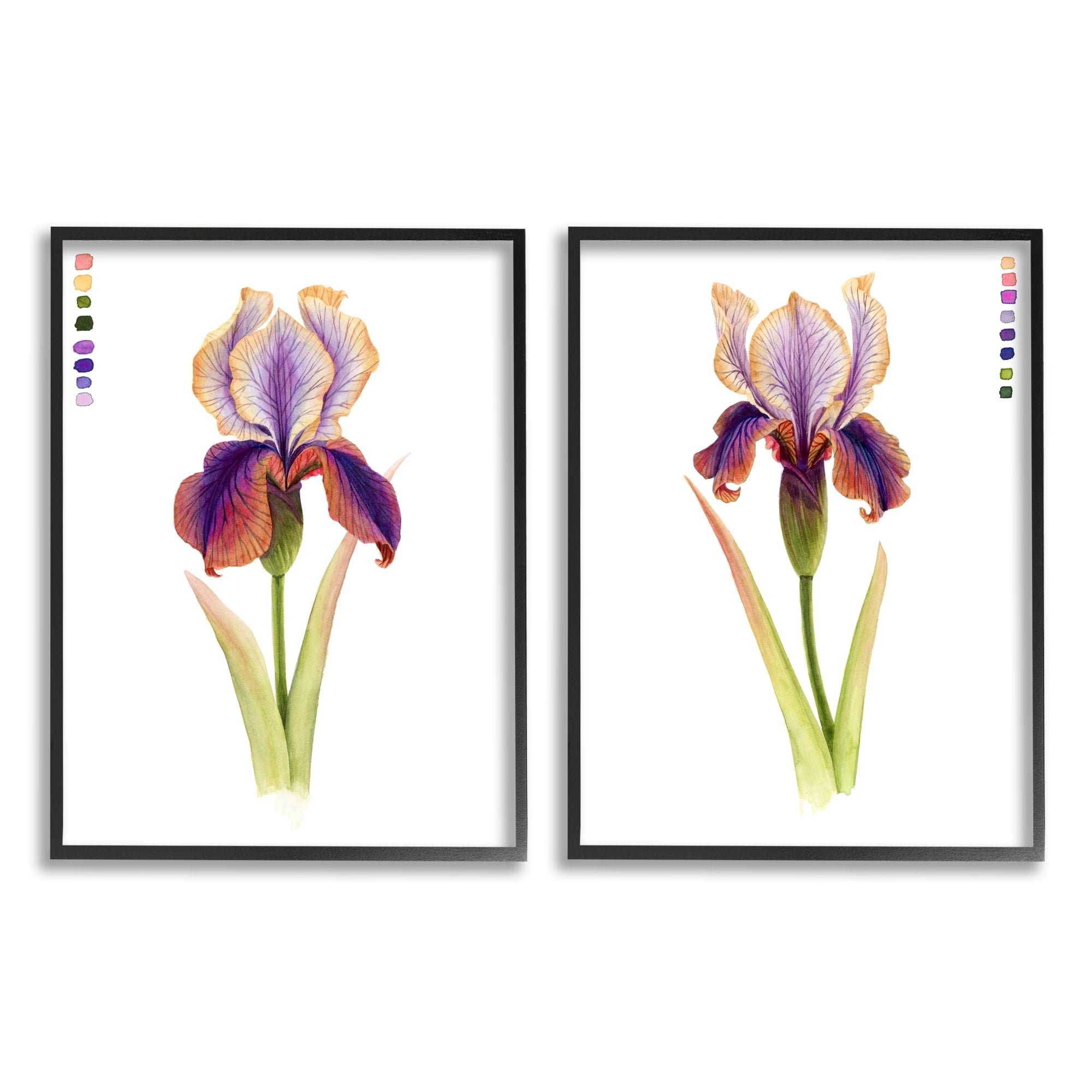 Stupell Industries Orange Purple Iris Flower with Color Key Black Framed by Grace Popp